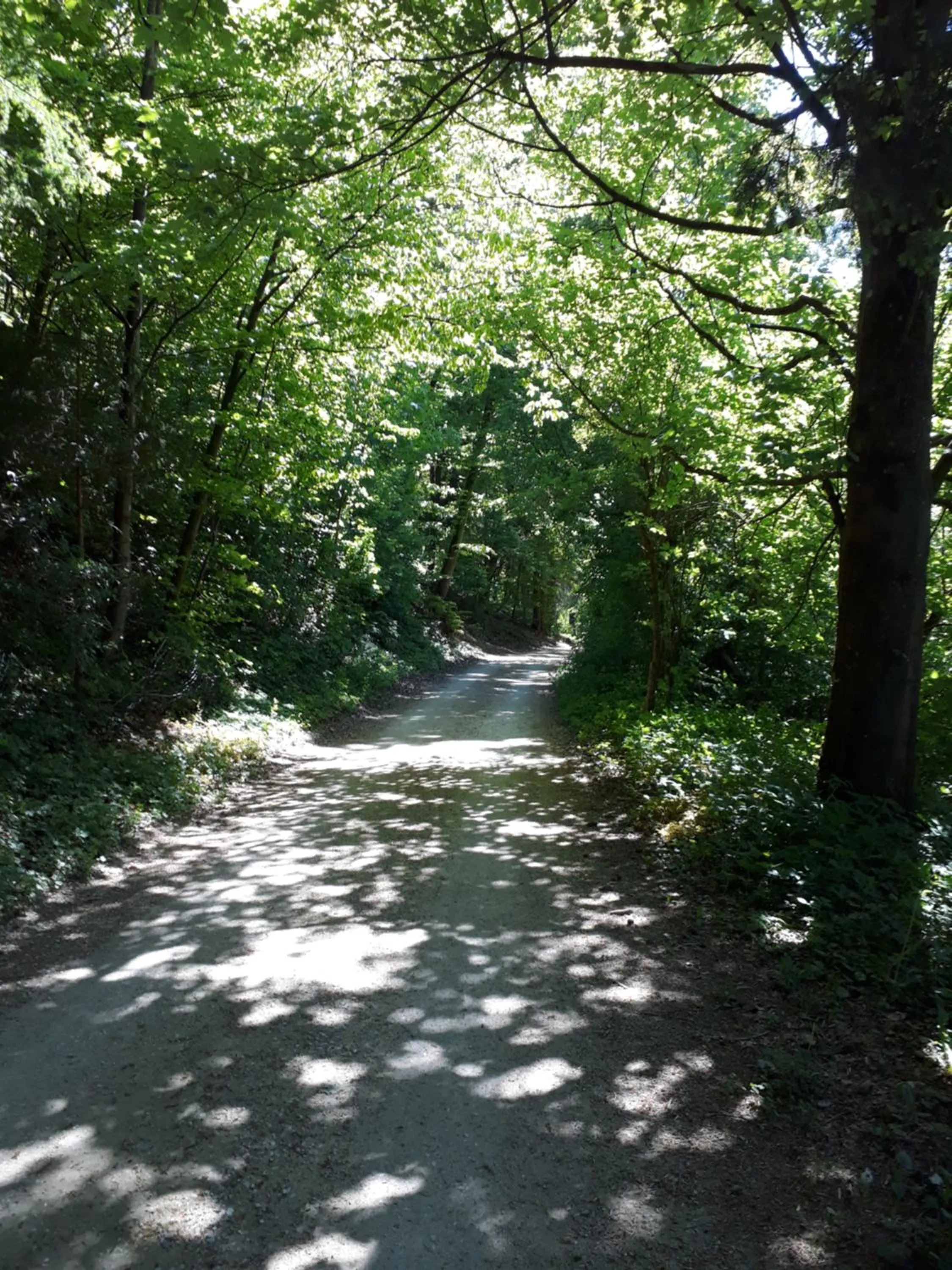Staff in Gasthof Rundeck