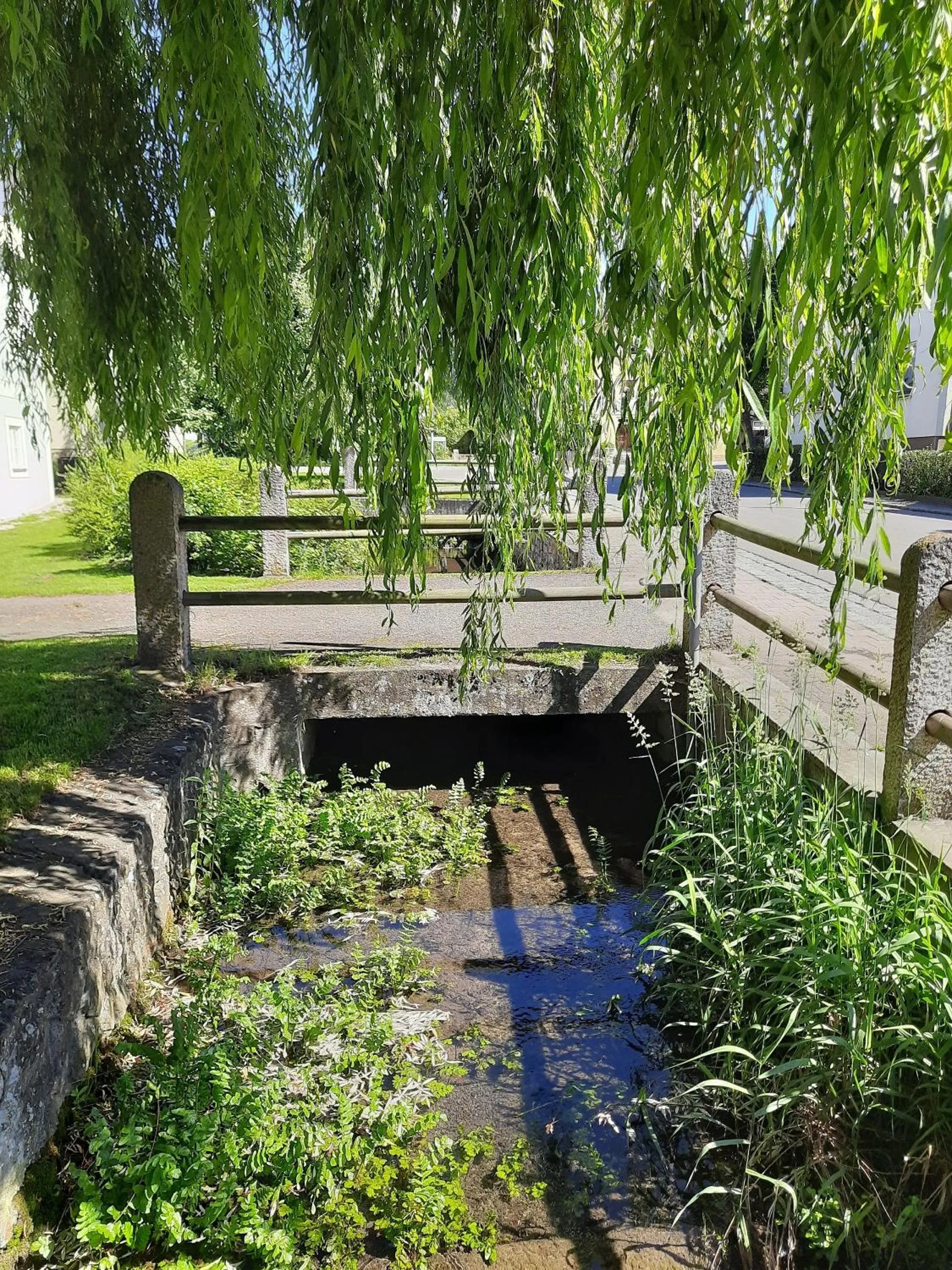 View (from property/room) in Gasthof Rundeck