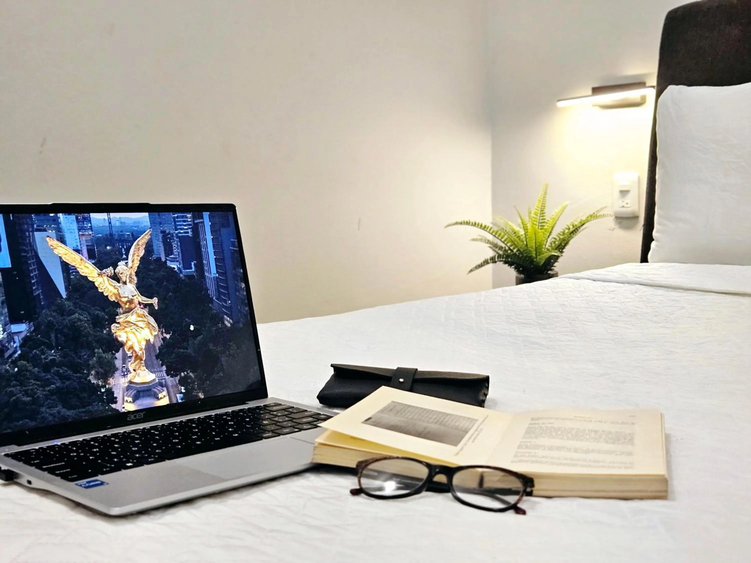 Bed in Singular Goldsmith