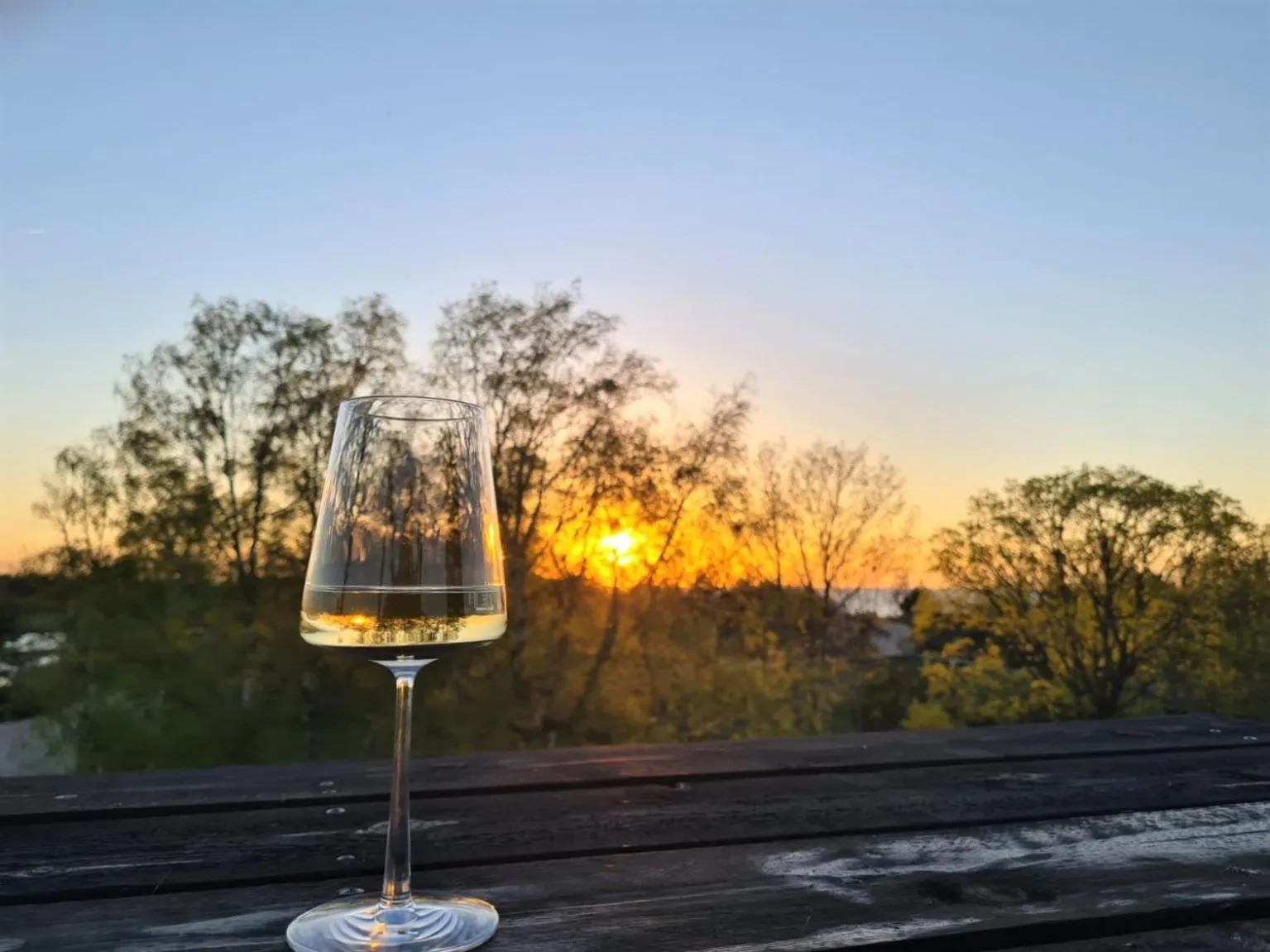 Balcony/Terrace in OTTO Hotel & Sun