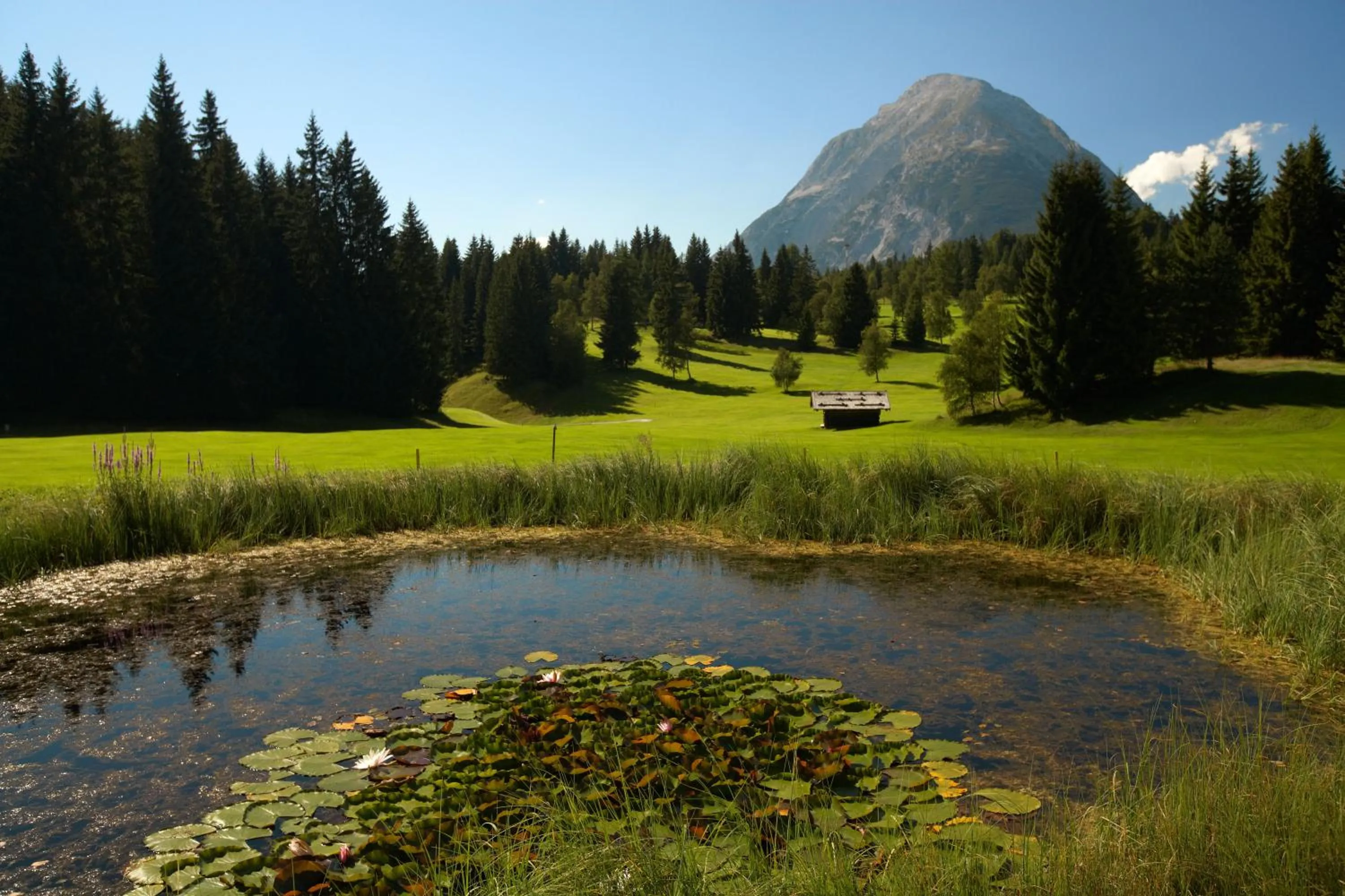 Natural landscape, Winter in Hotel Karwendelhof