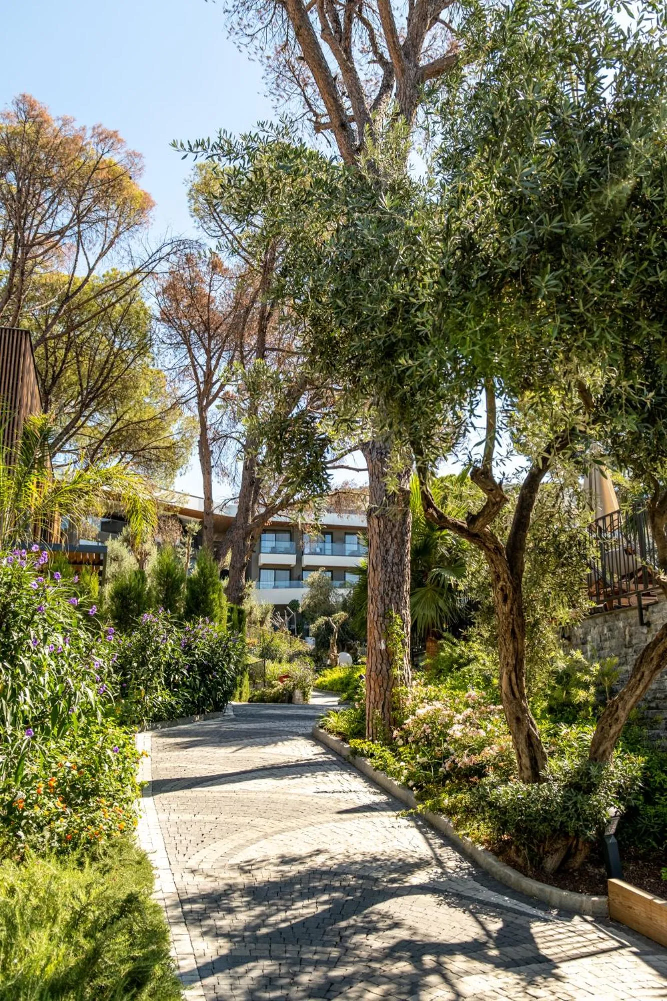 Natural landscape in Unique Life Style Hotel