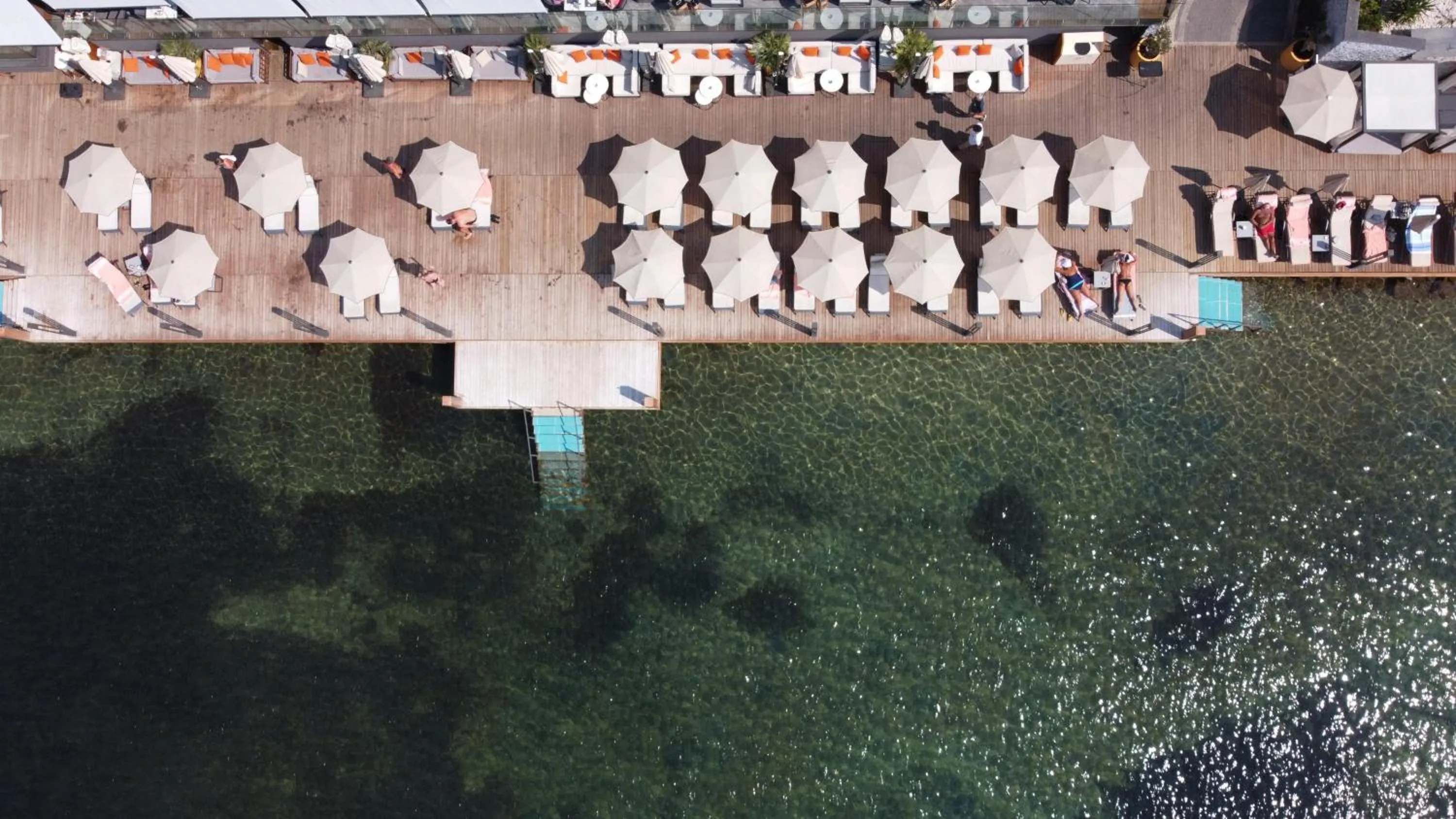 Pets in Unique Life Style Hotel