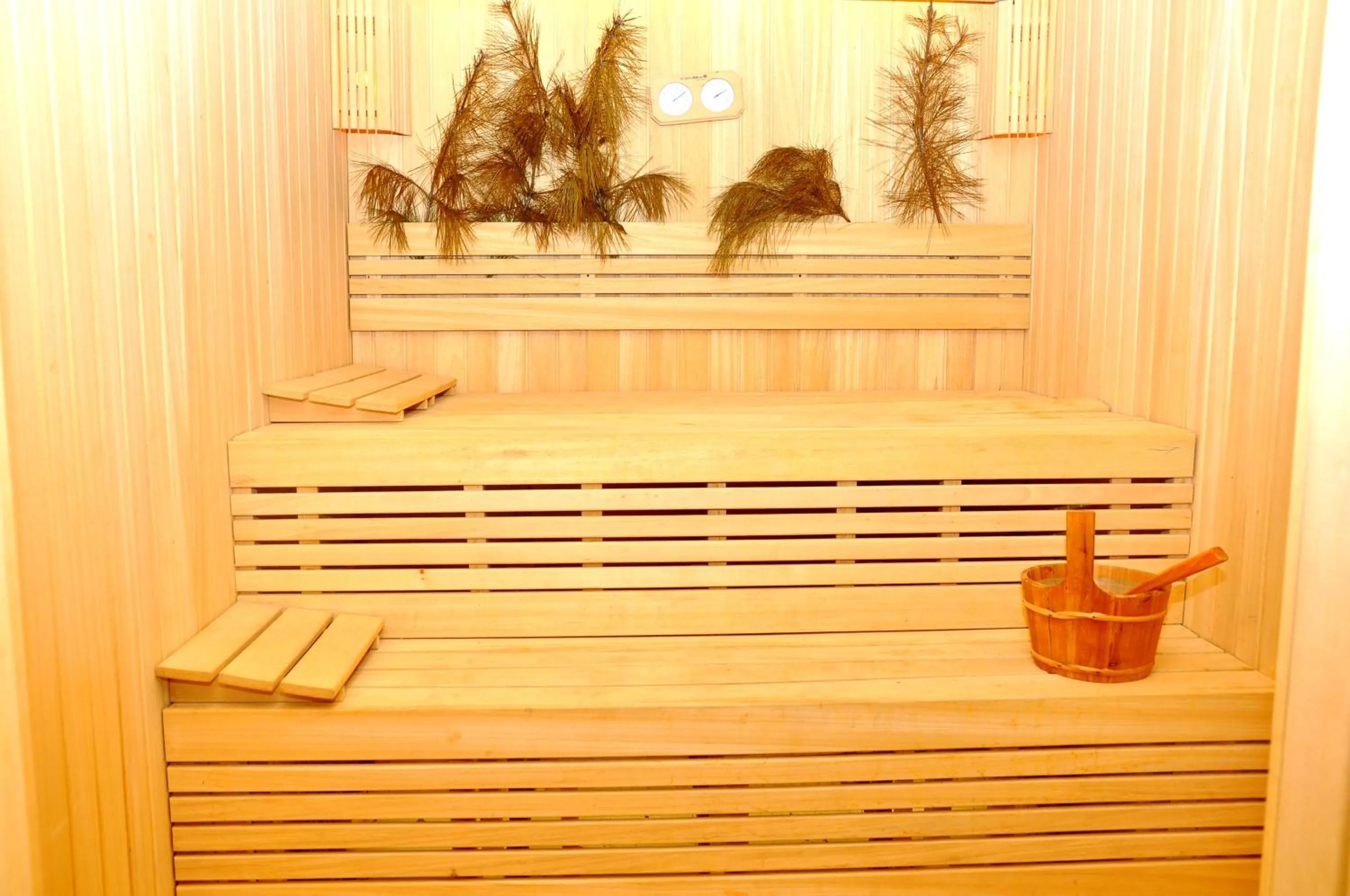 Sauna in Deluxe Hotel Ganja