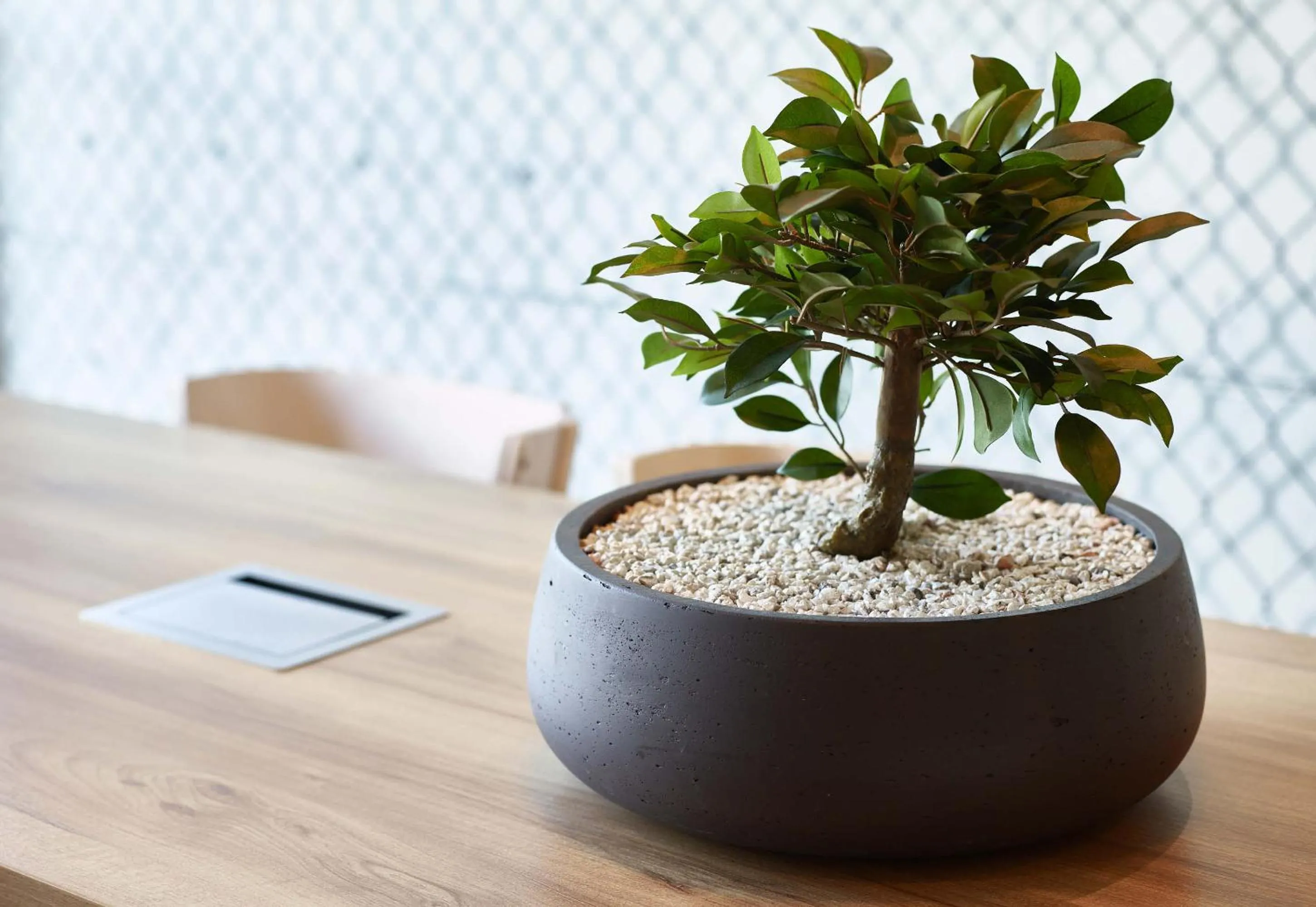 Decorative detail in B&B HOTEL Le Port Marly Saint Germain en Laye