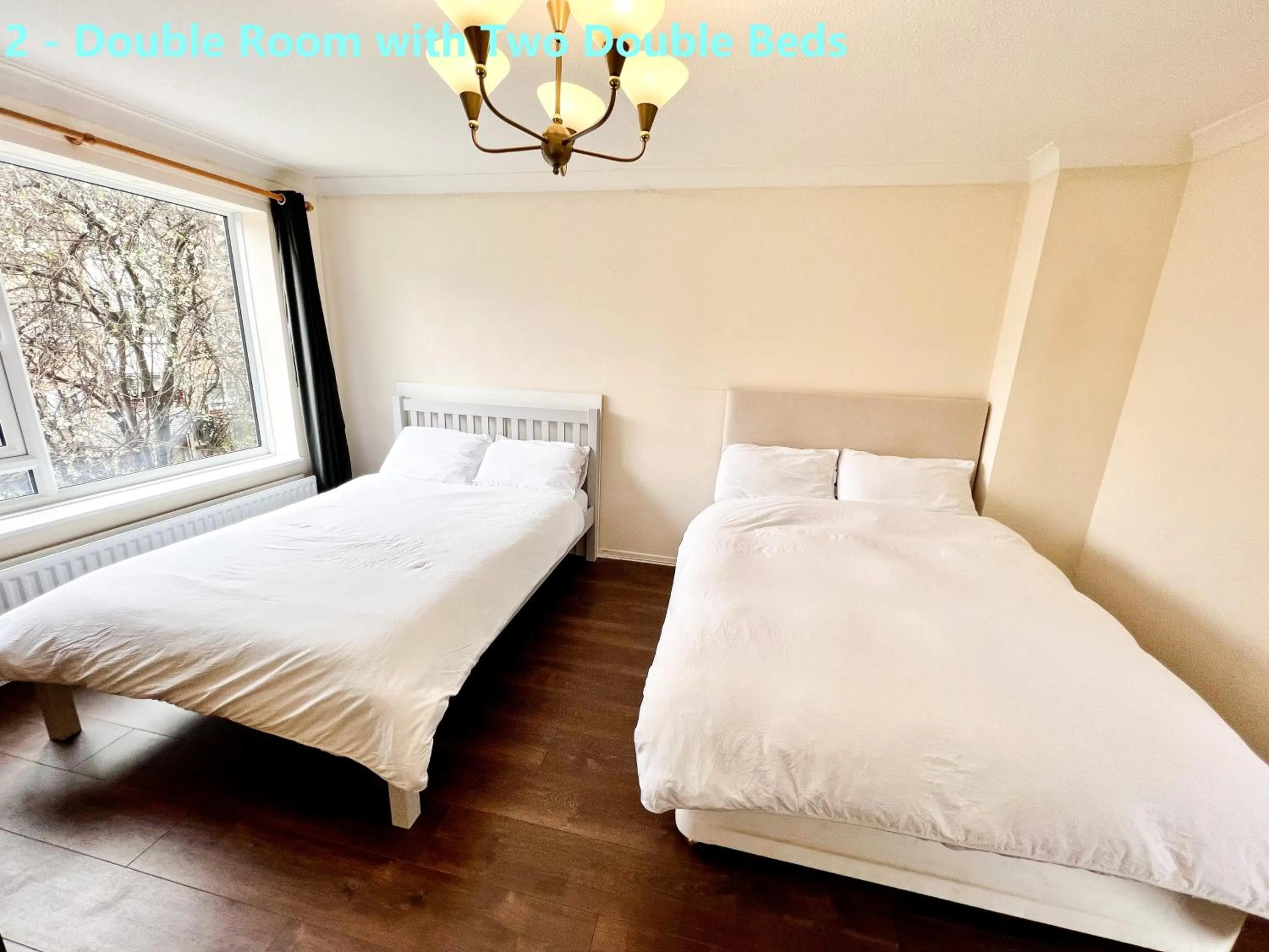 Bed in Central Palace - Excellent Stay in London Zone 1