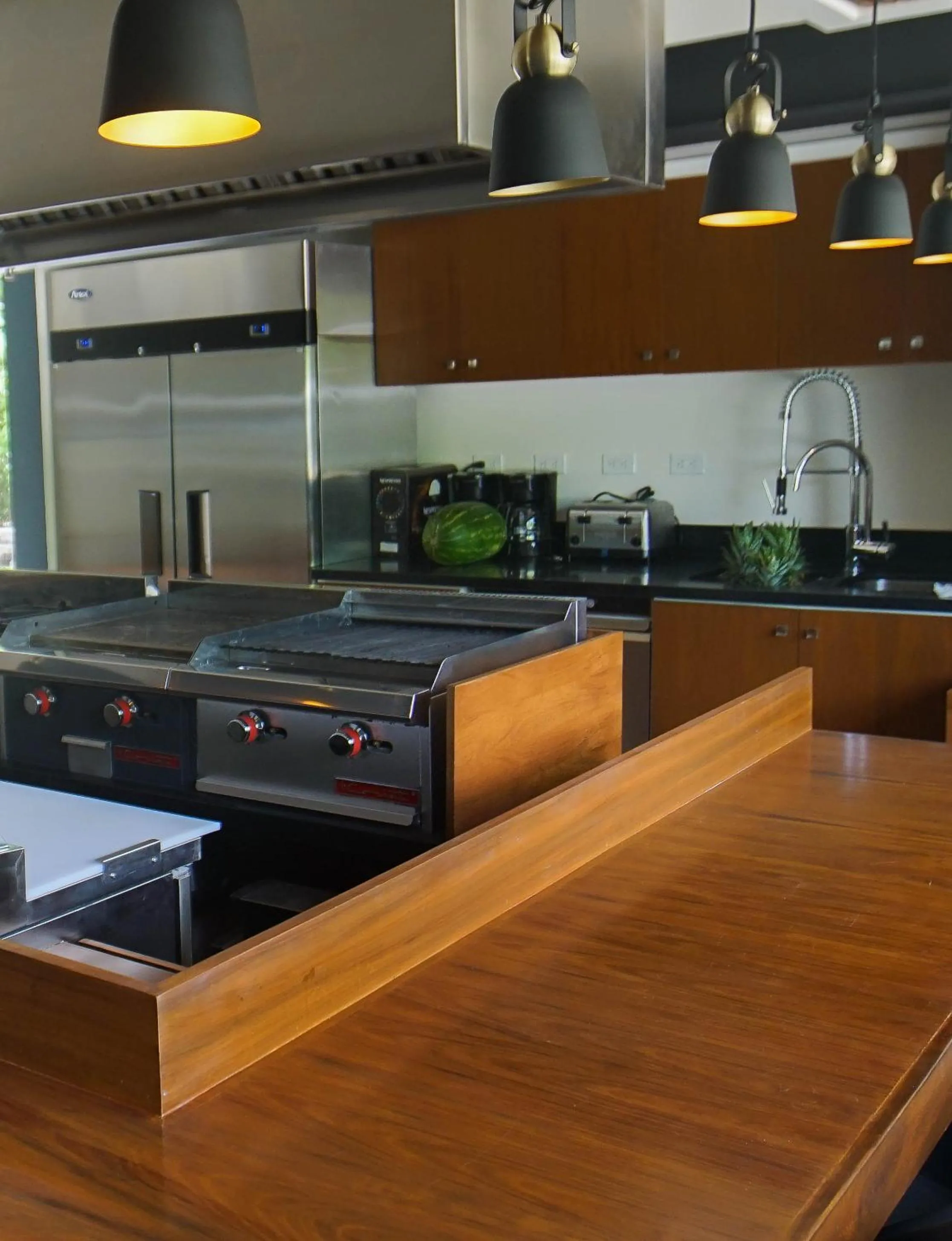 Kitchen or kitchenette in Panther Bay Boutique Hotel