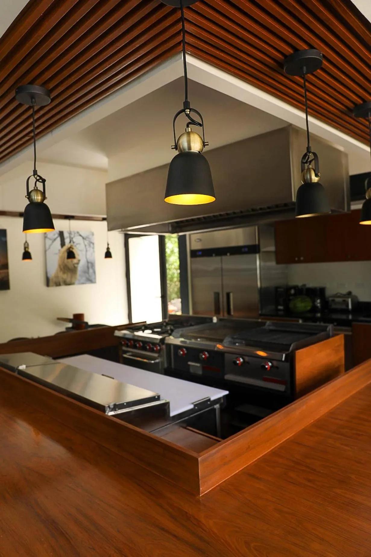 Kitchen or kitchenette in Panther Bay Boutique Hotel