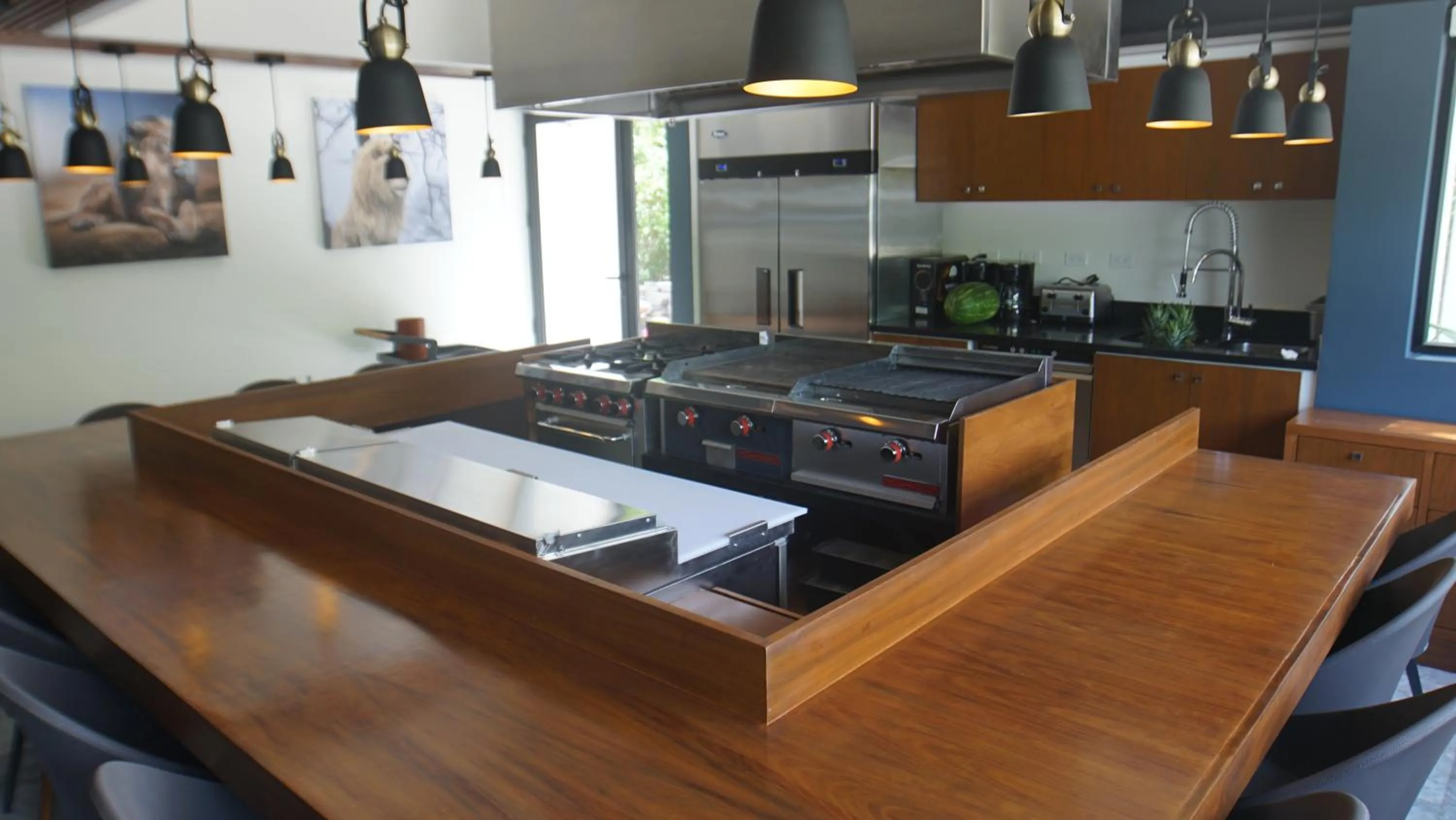 Kitchen or kitchenette in Panther Bay Boutique Hotel