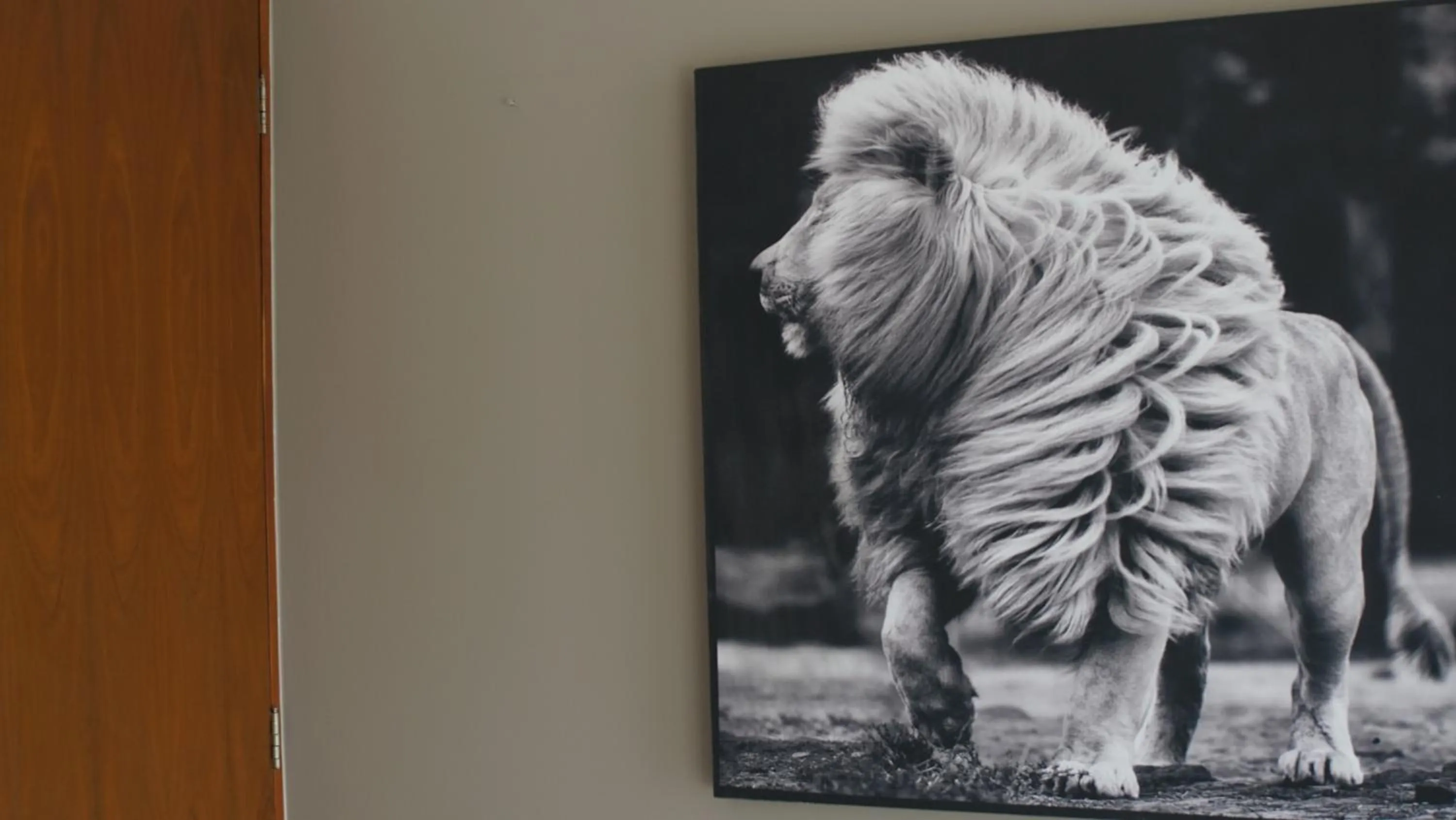 Decorative detail in Panther Bay Boutique Hotel