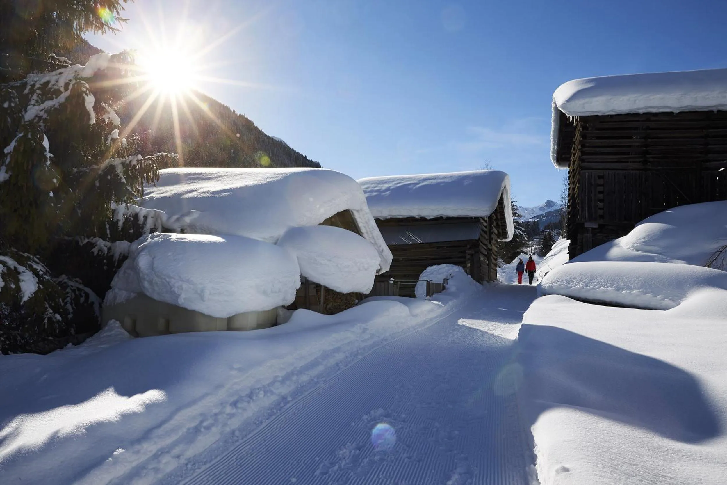 Skiing in Active Nature Resort DAS SeeMOUNT