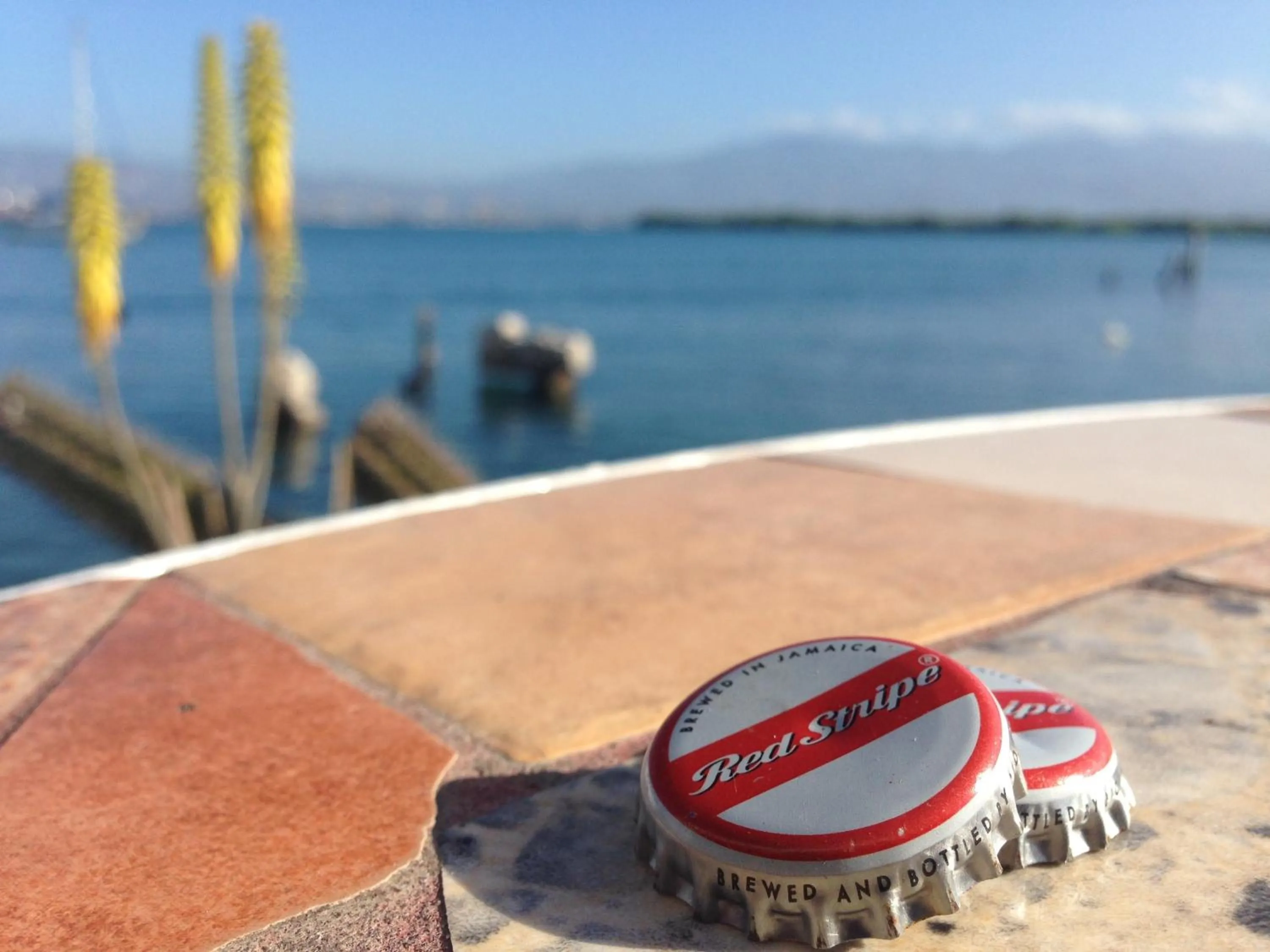 Lounge or bar in Grand Hotel Excelsior Port Royal