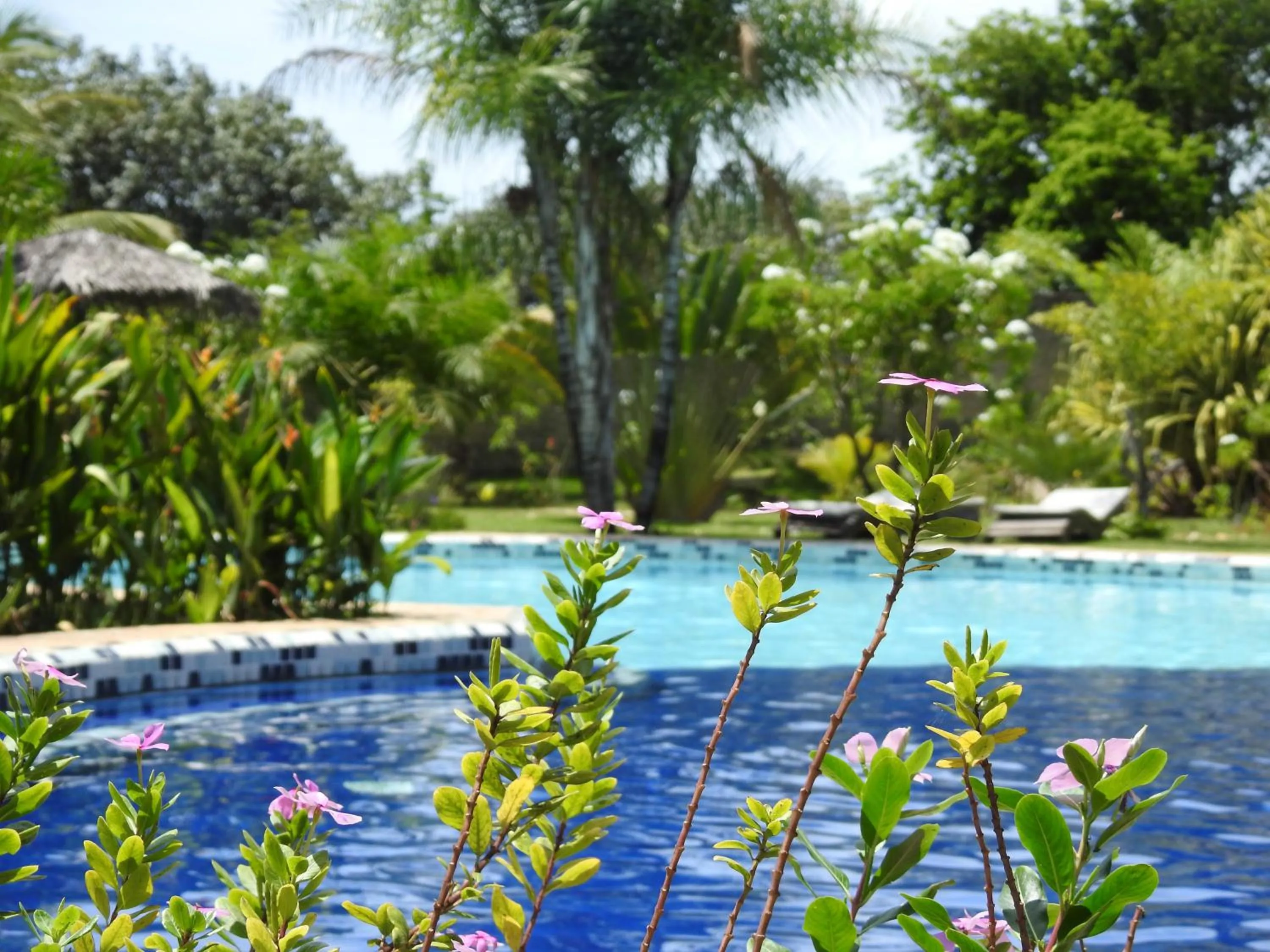 Swimming pool in Pousada Morada dos Ventos