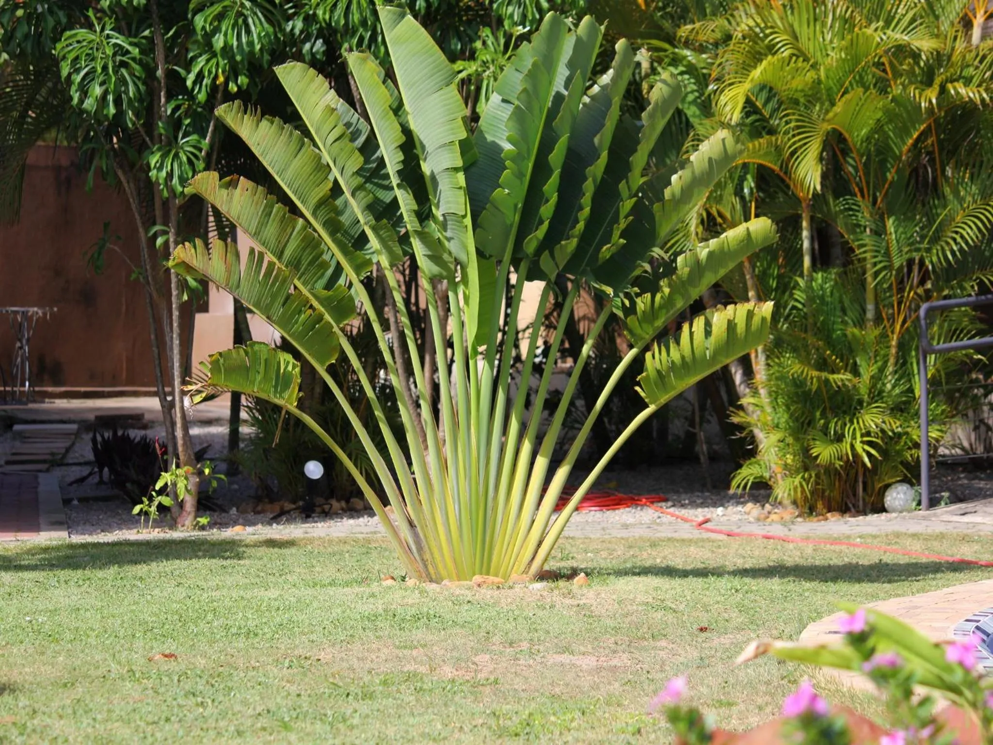 Day in Pousada Morada dos Ventos