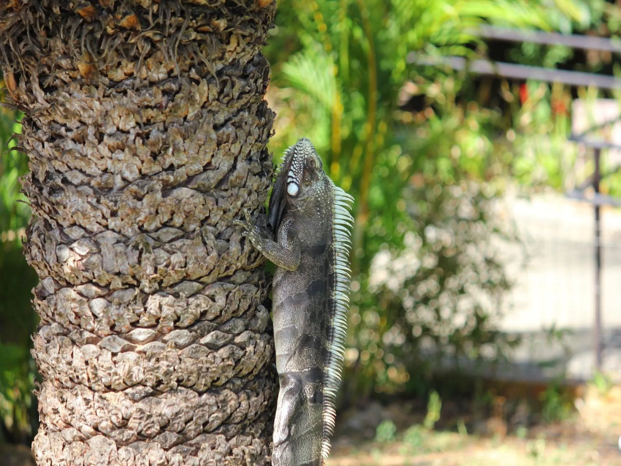 Day in Pousada Morada dos Ventos
