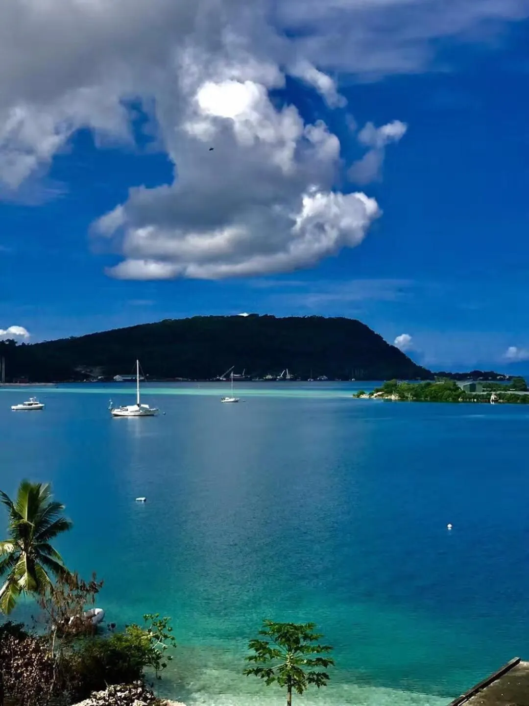 Natural landscape in Room With A View & Apartment Style