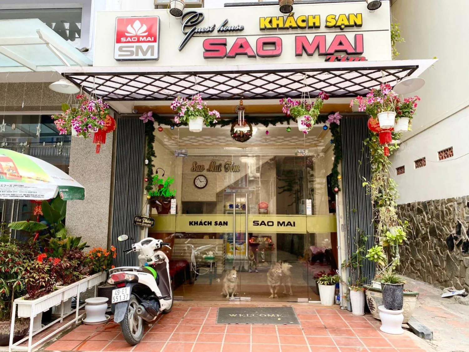 Property building in Sao Mai Tim Hotel