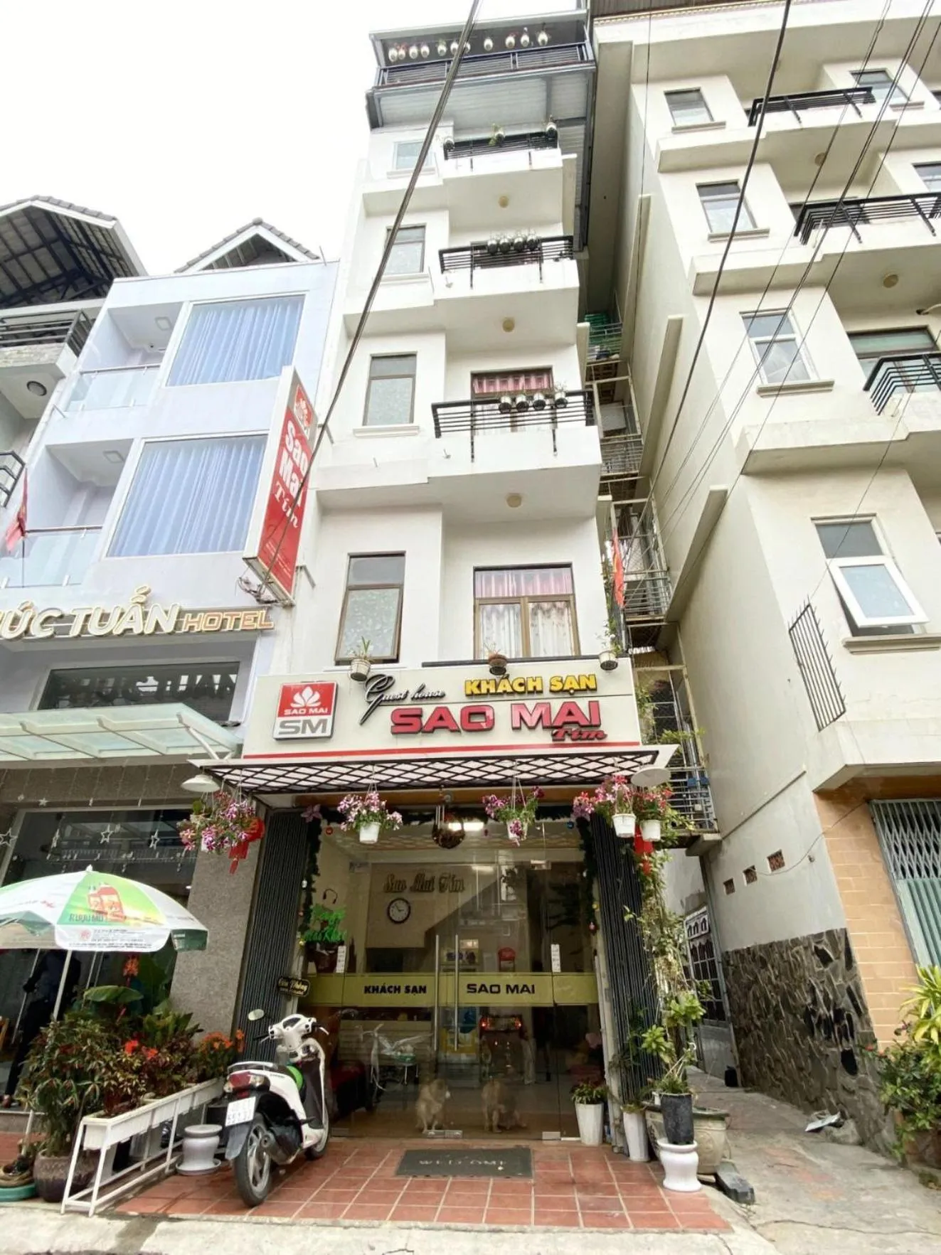 Property building in Sao Mai Tim Hotel