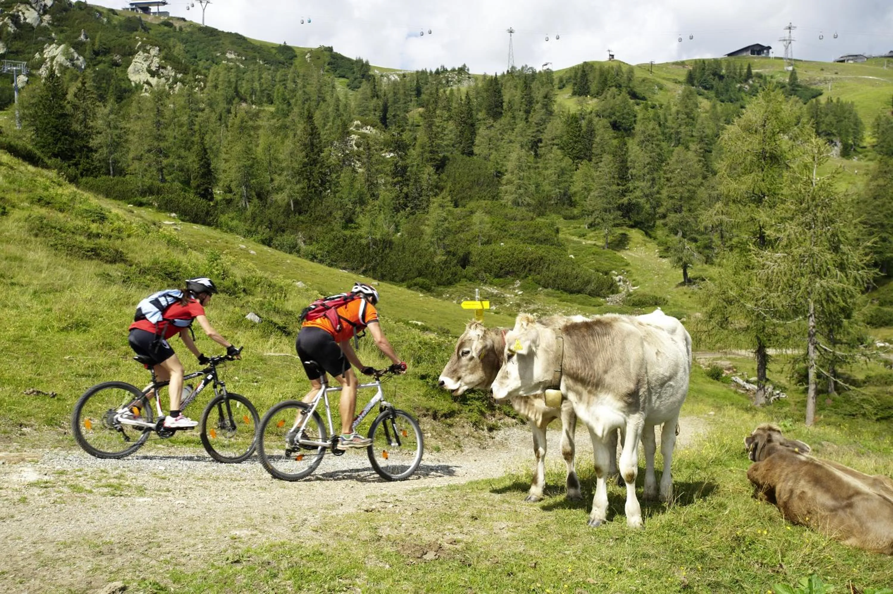 Cycling in Hotel Kärntnerhof & Suiten 3-Stern Superior