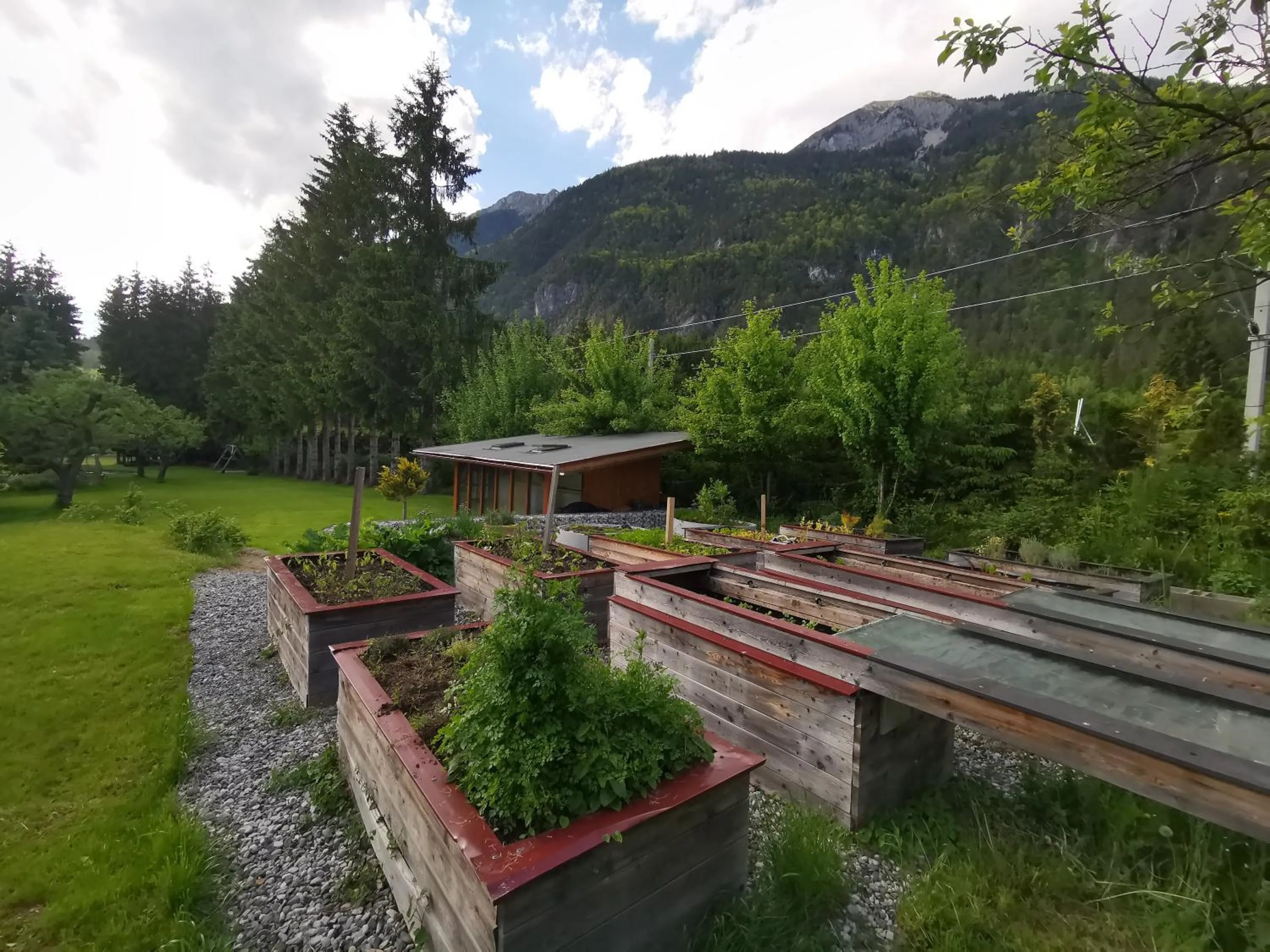 Natural landscape in Hotel Kärntnerhof & Suiten 3-Stern Superior