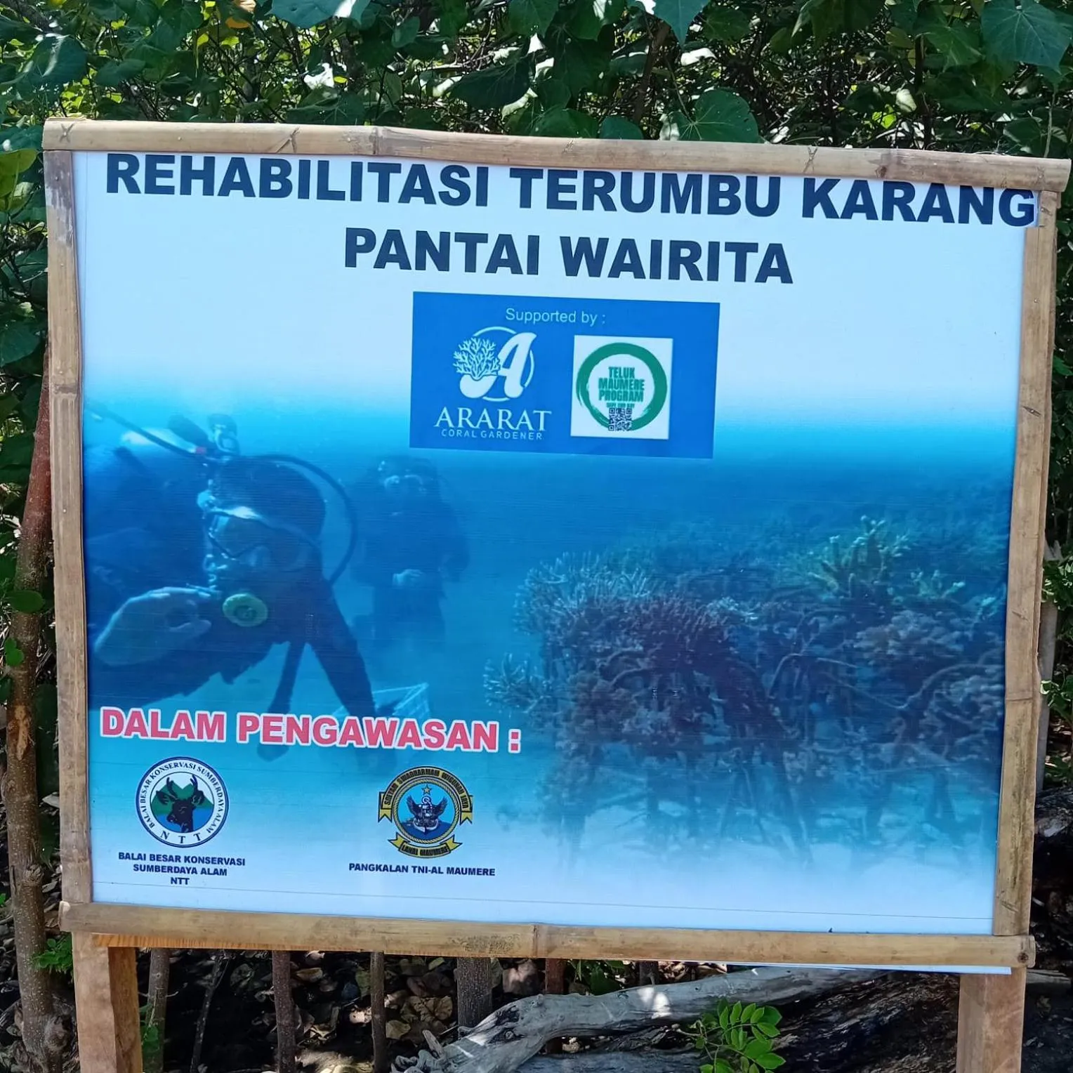 Snorkeling in Budi Sun Resort