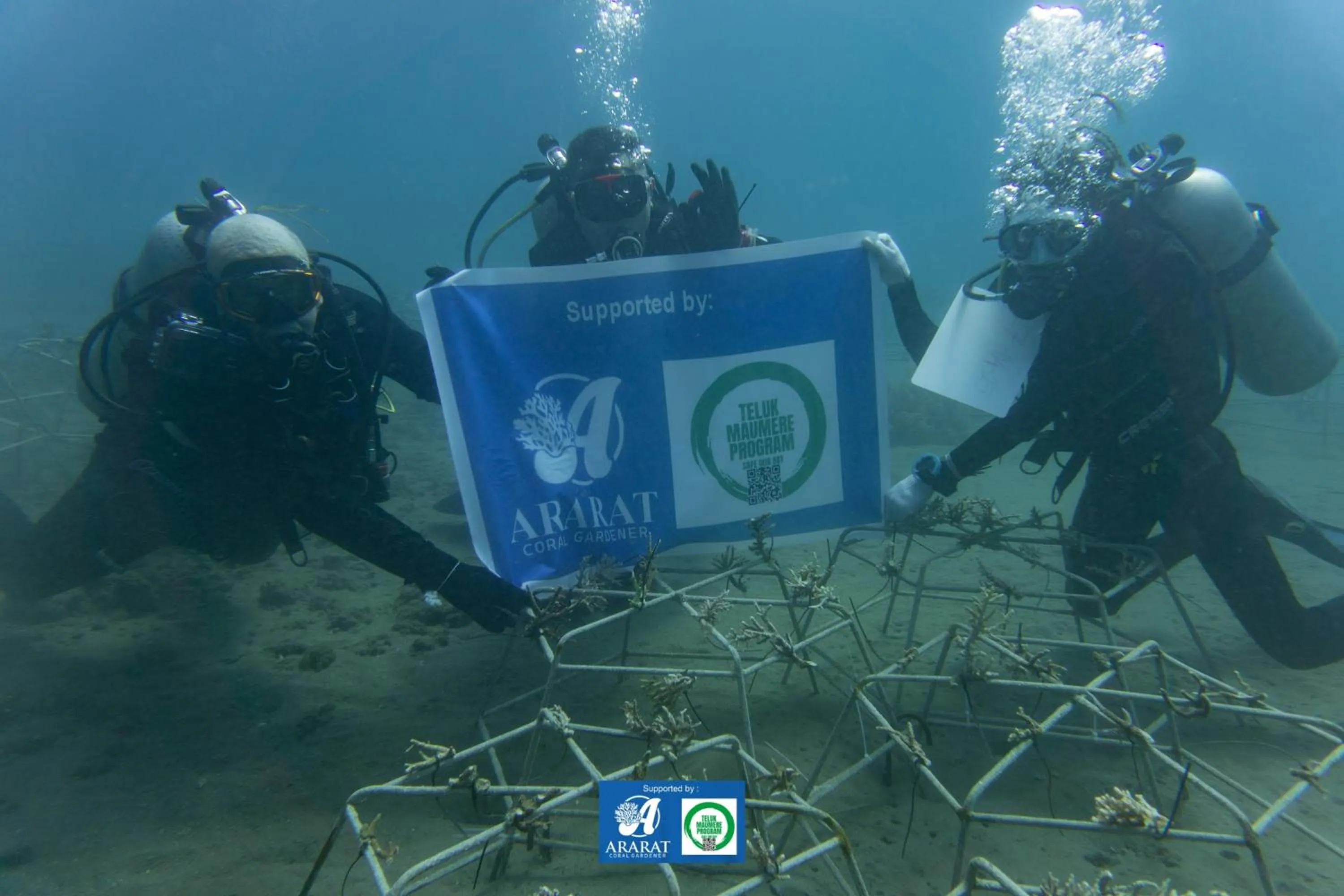 Snorkeling in Budi Sun Resort