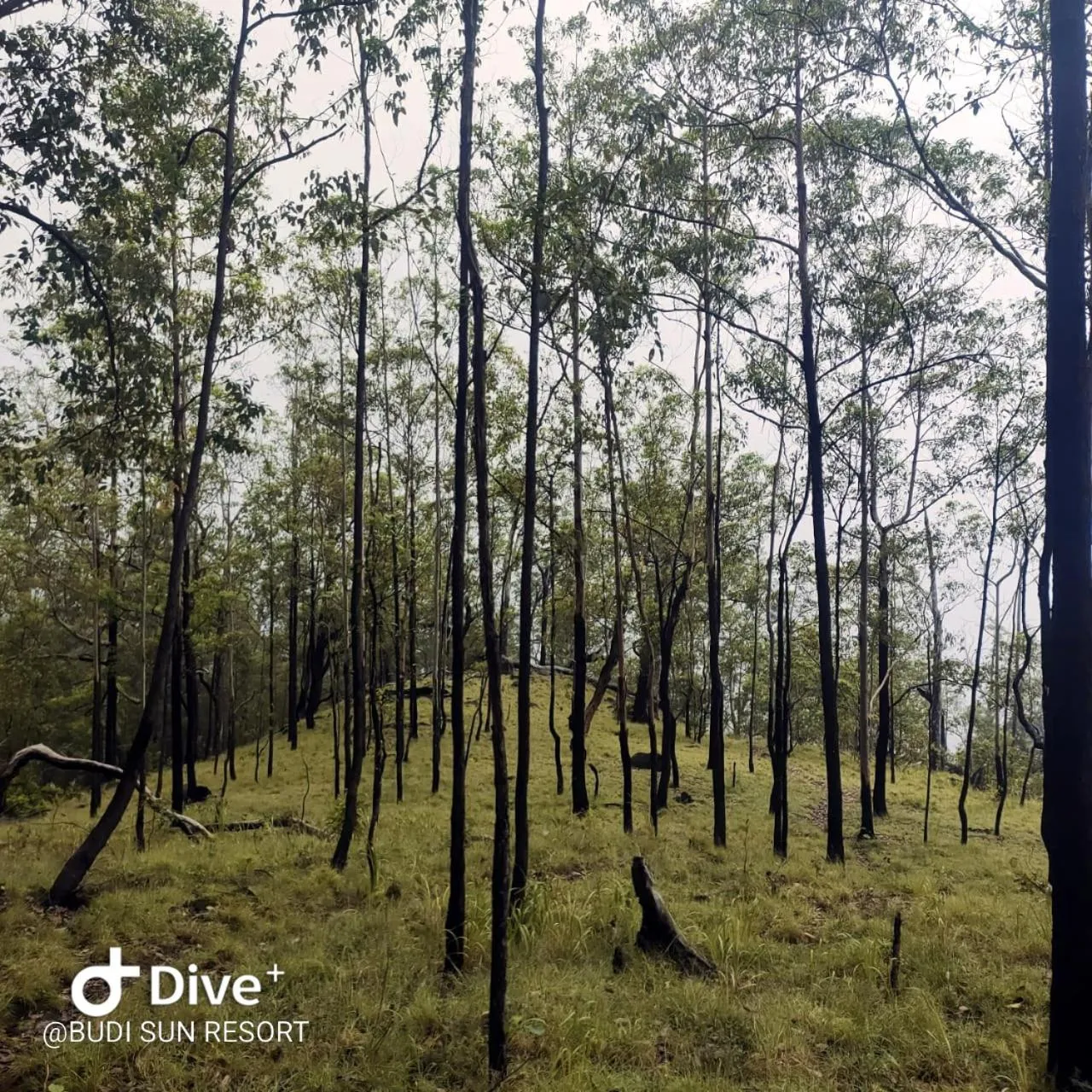 Nearby landmark in Budi Sun Resort