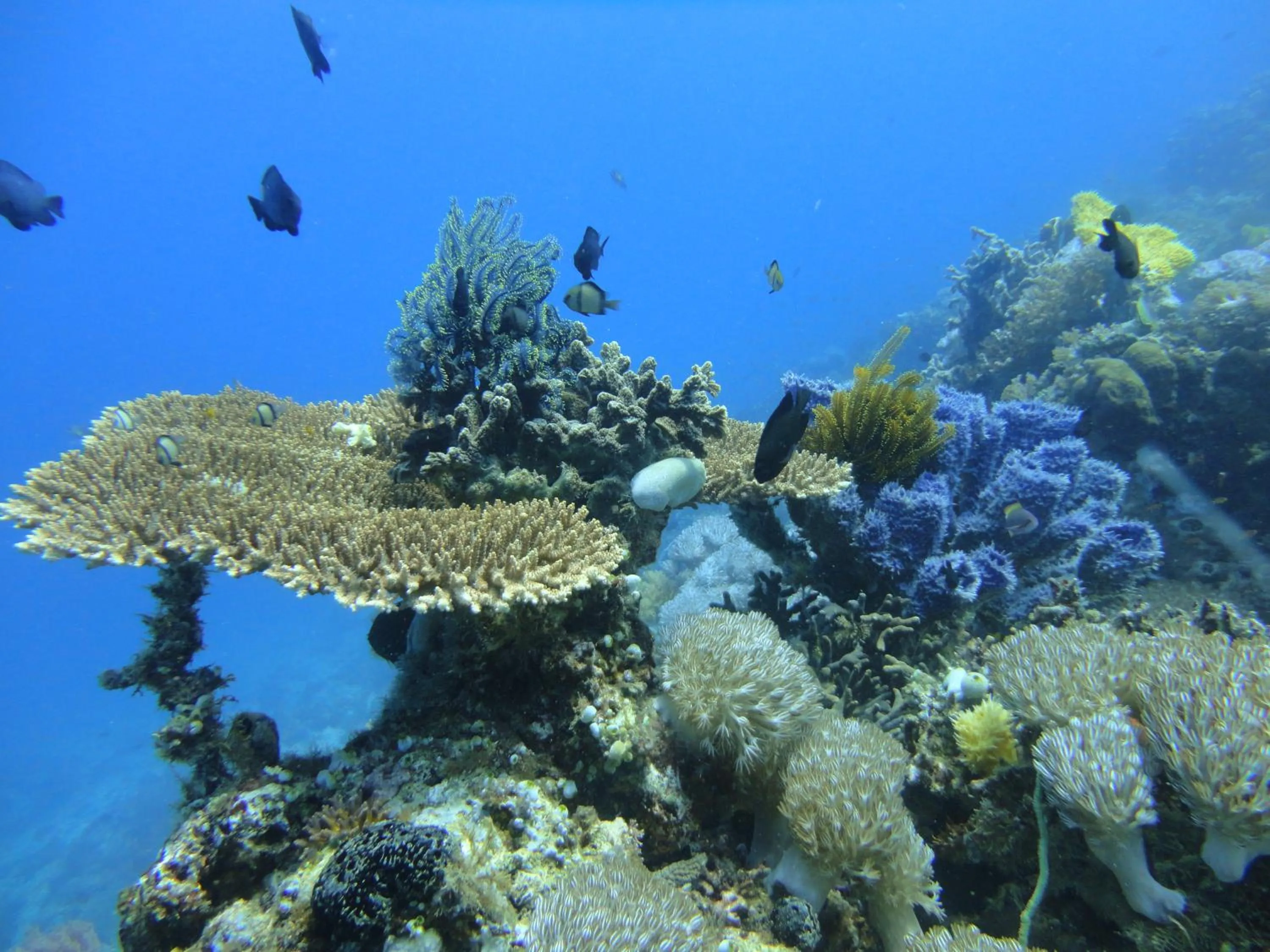 Activities in Budi Sun Resort