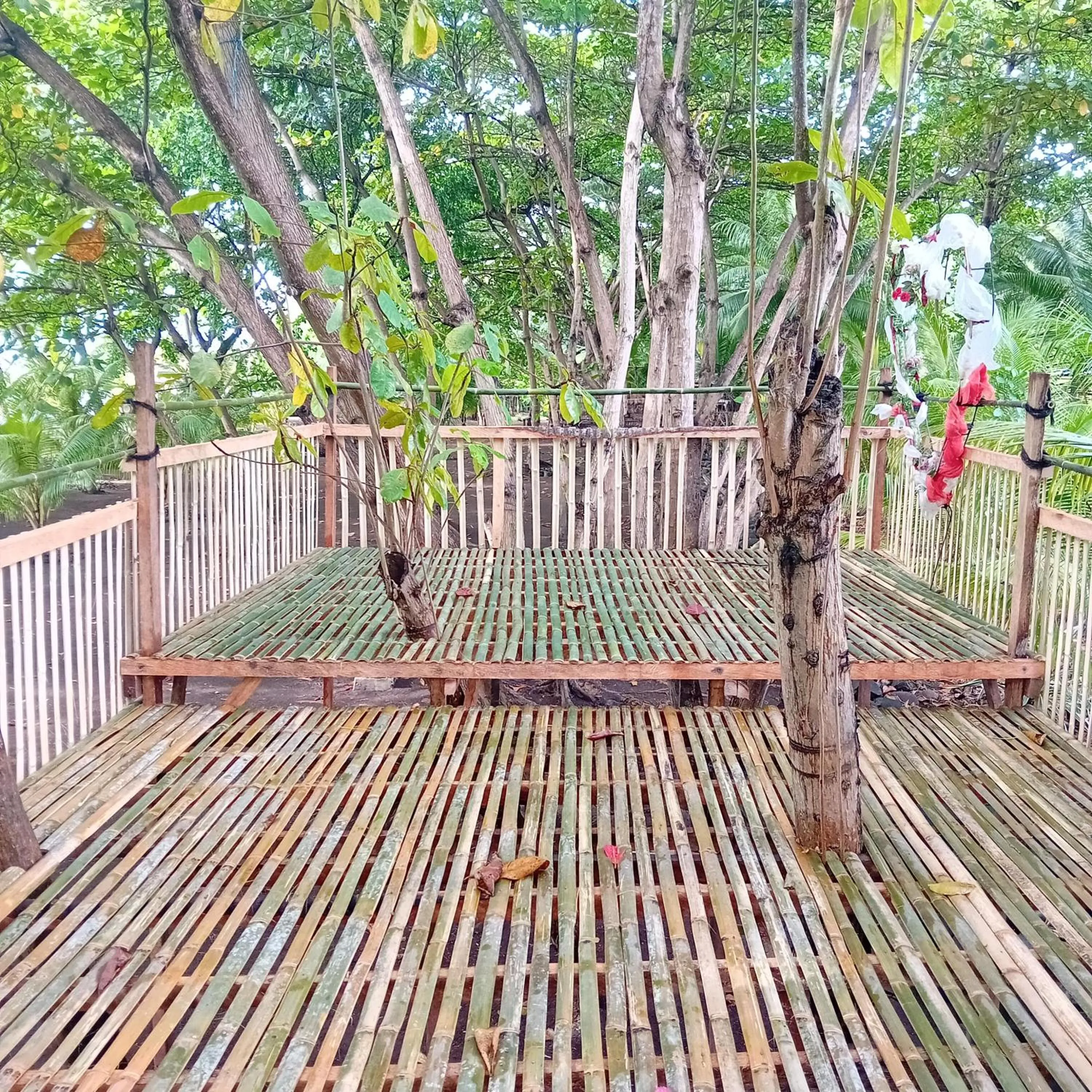 Garden in Budi Sun Resort