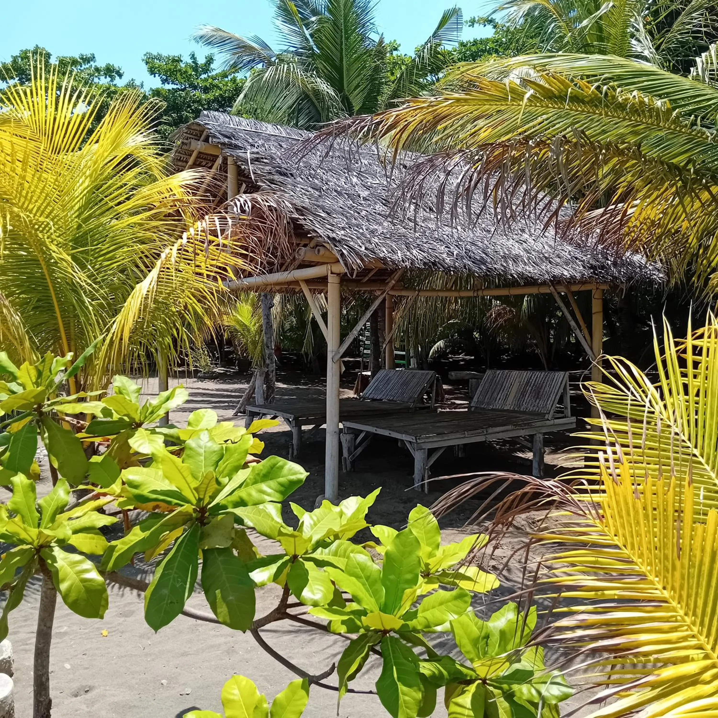 Beach in Budi Sun Resort