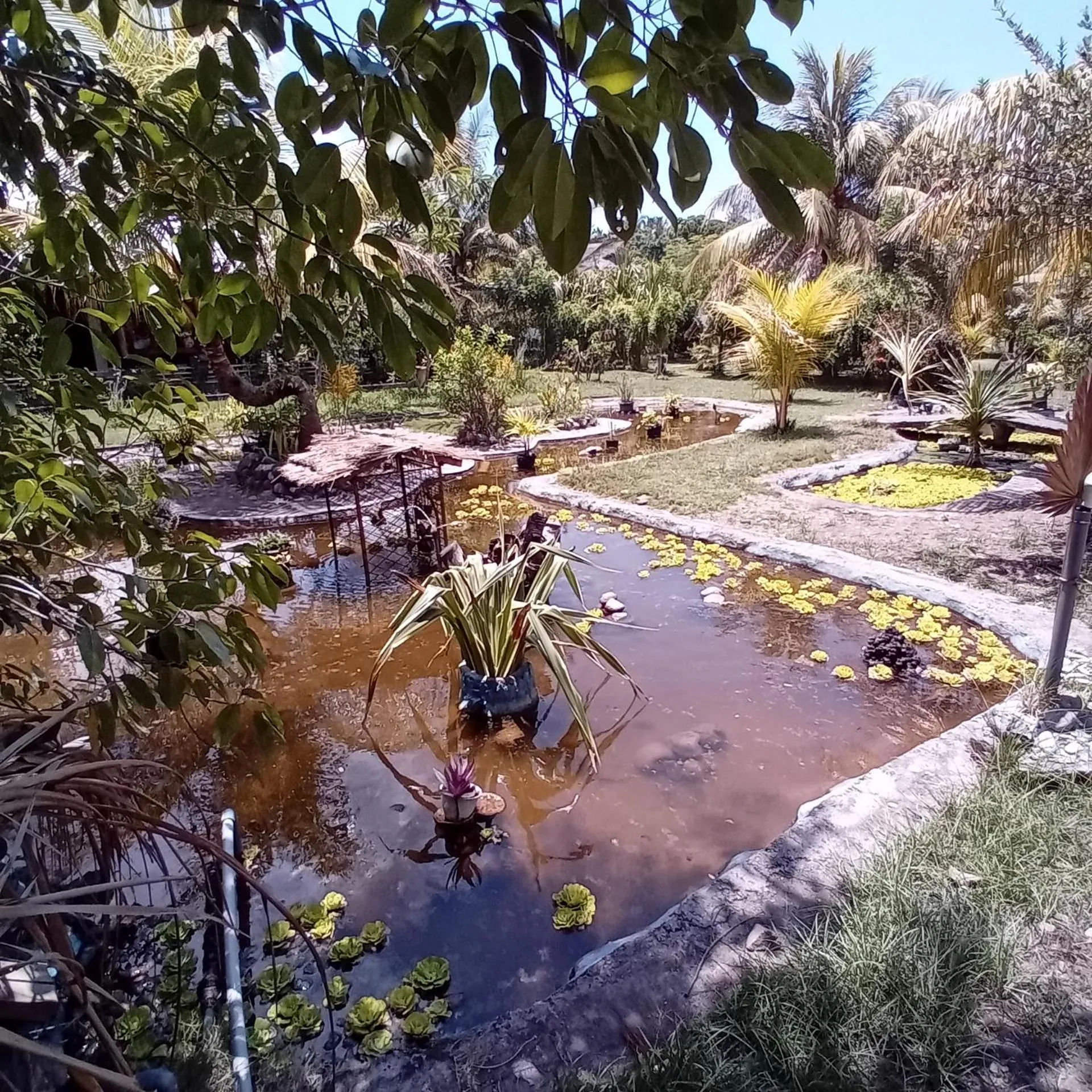 Garden in Budi Sun Resort