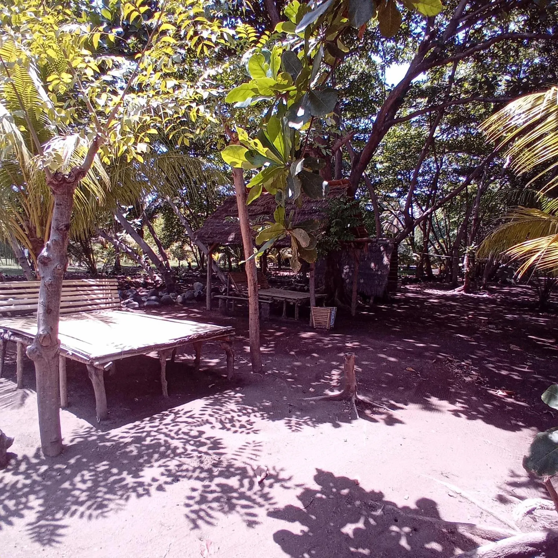 Garden in Budi Sun Resort