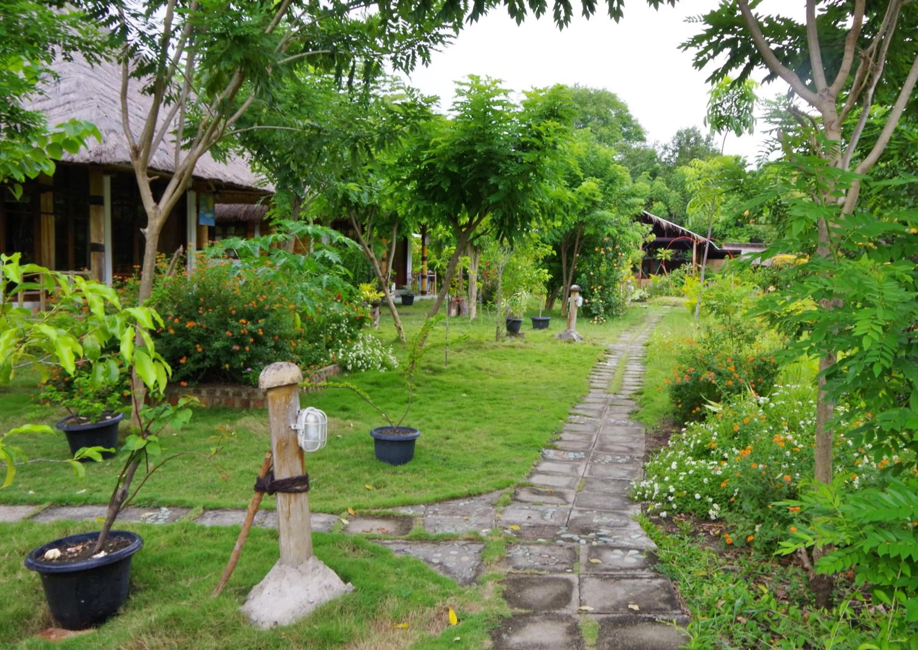 Garden in Budi Sun Resort