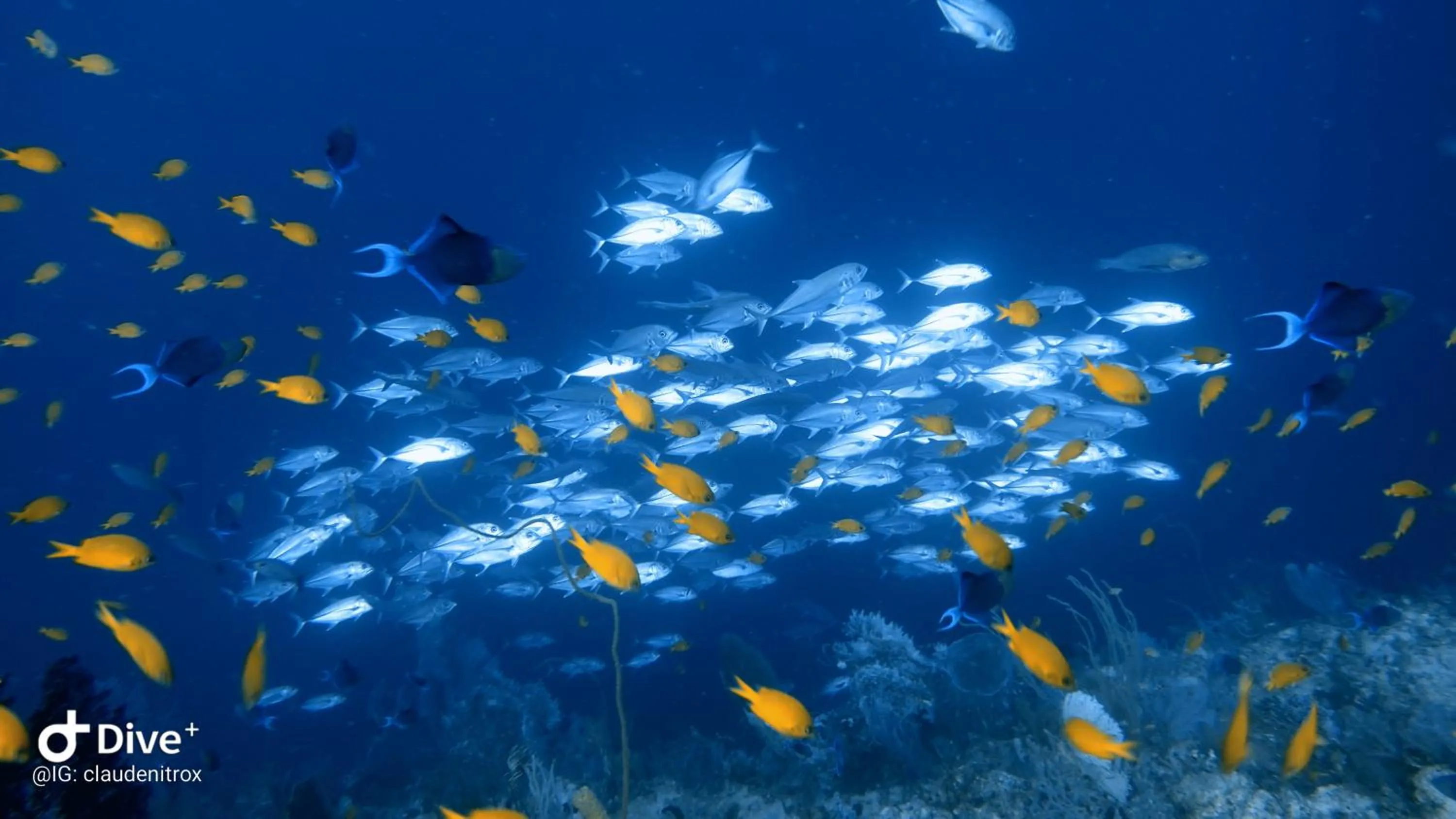 Activities in Budi Sun Resort