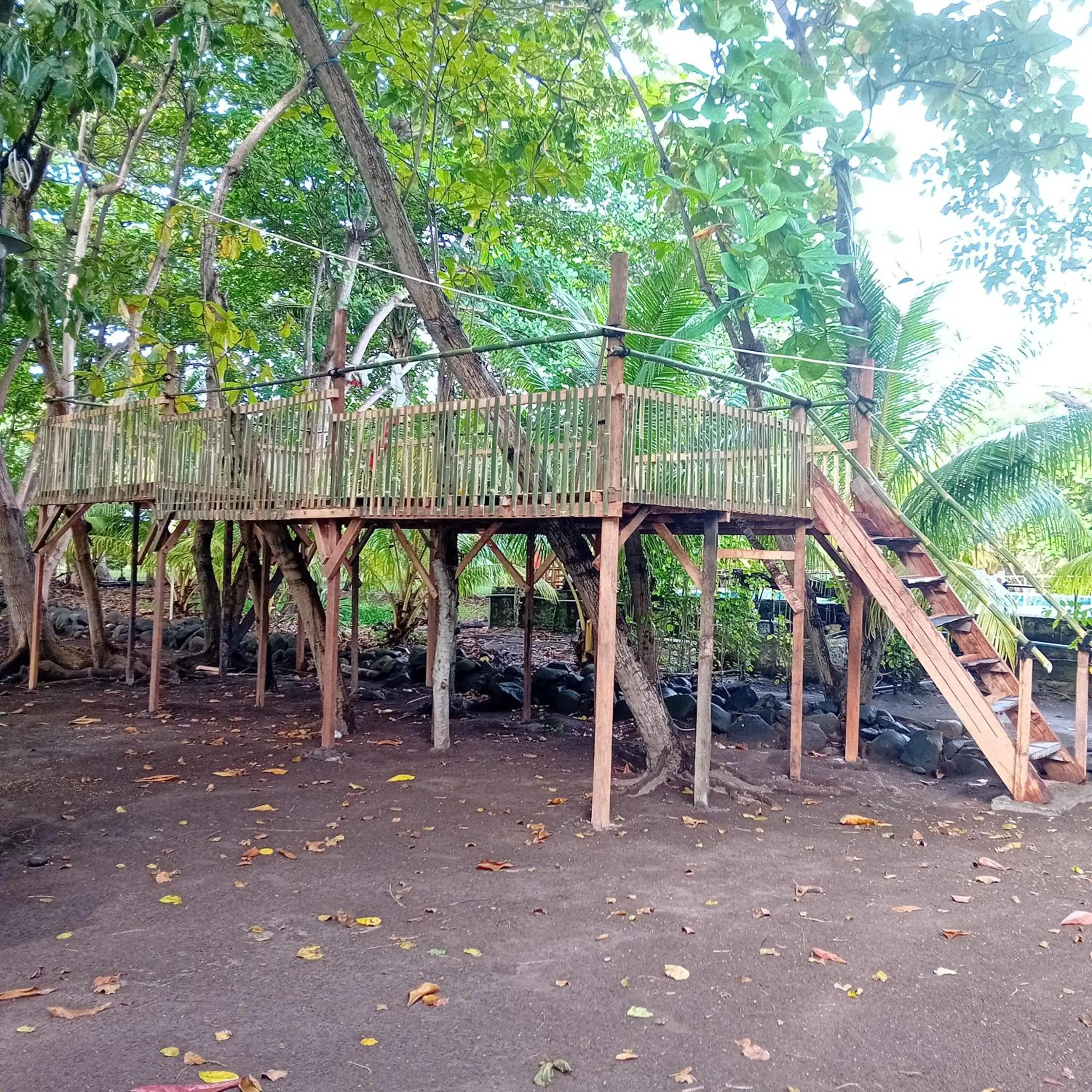 Garden in Budi Sun Resort