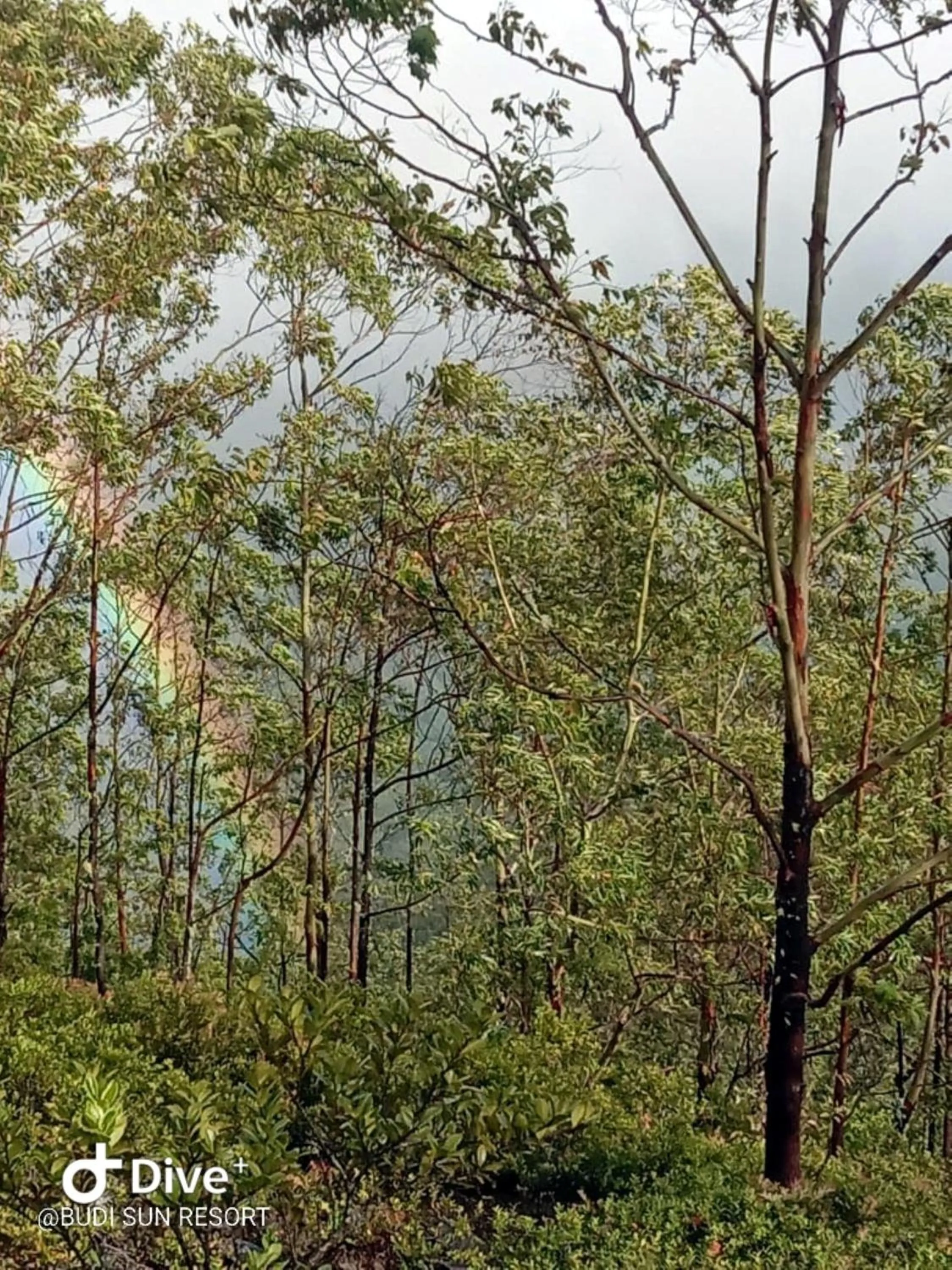 Nearby landmark in Budi Sun Resort