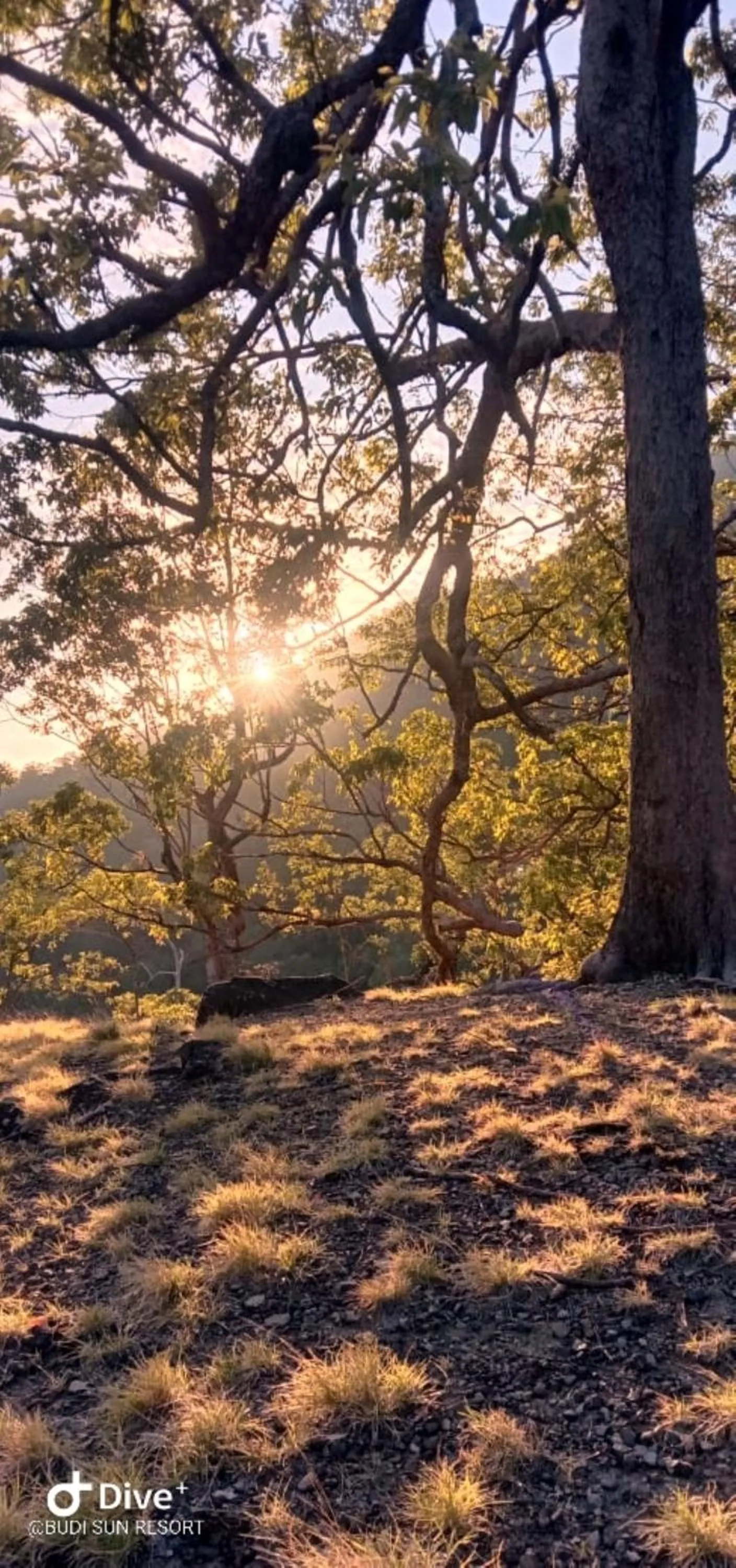 Nearby landmark in Budi Sun Resort
