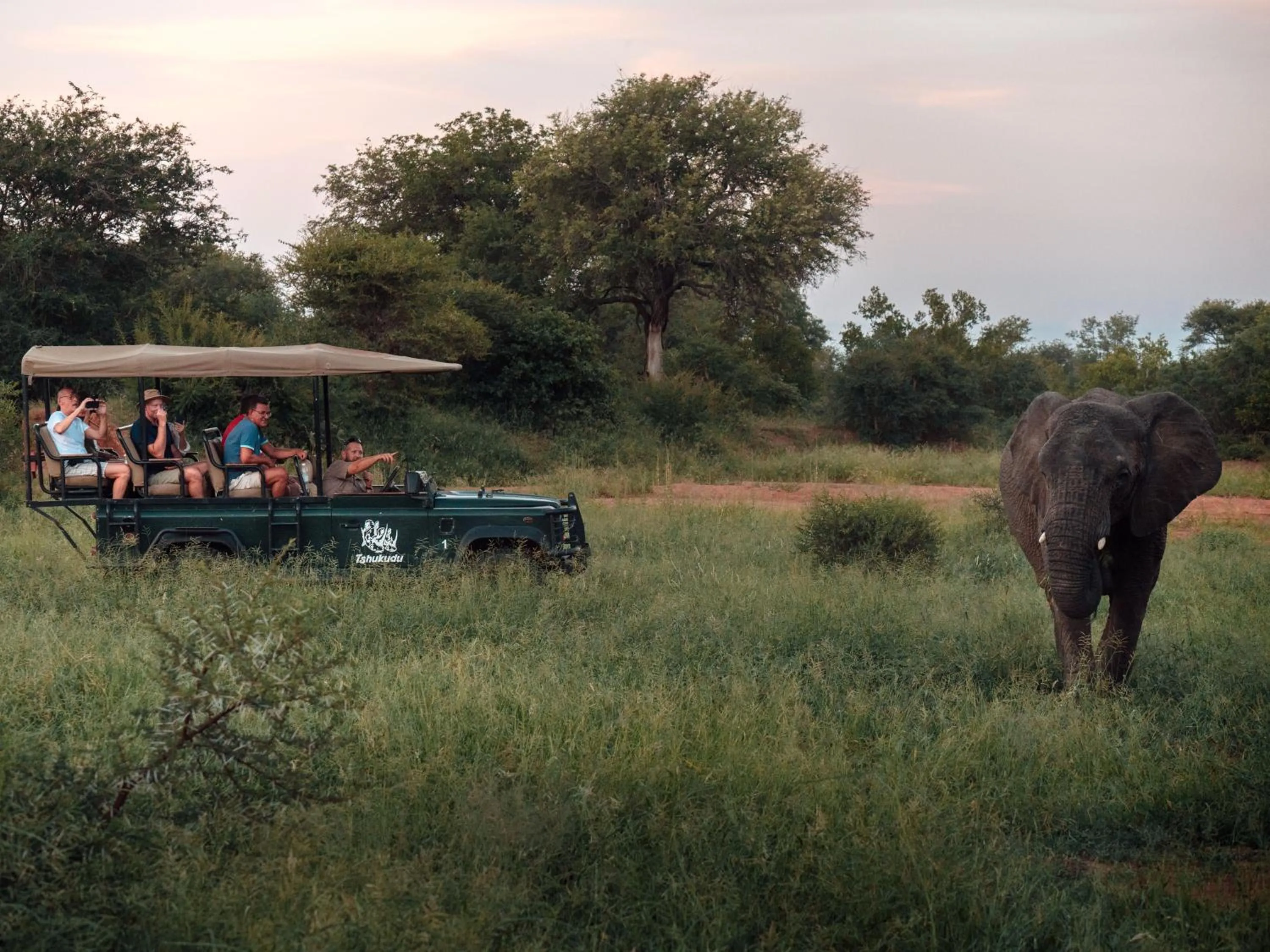 Activities in Tshukudu Game Lodge