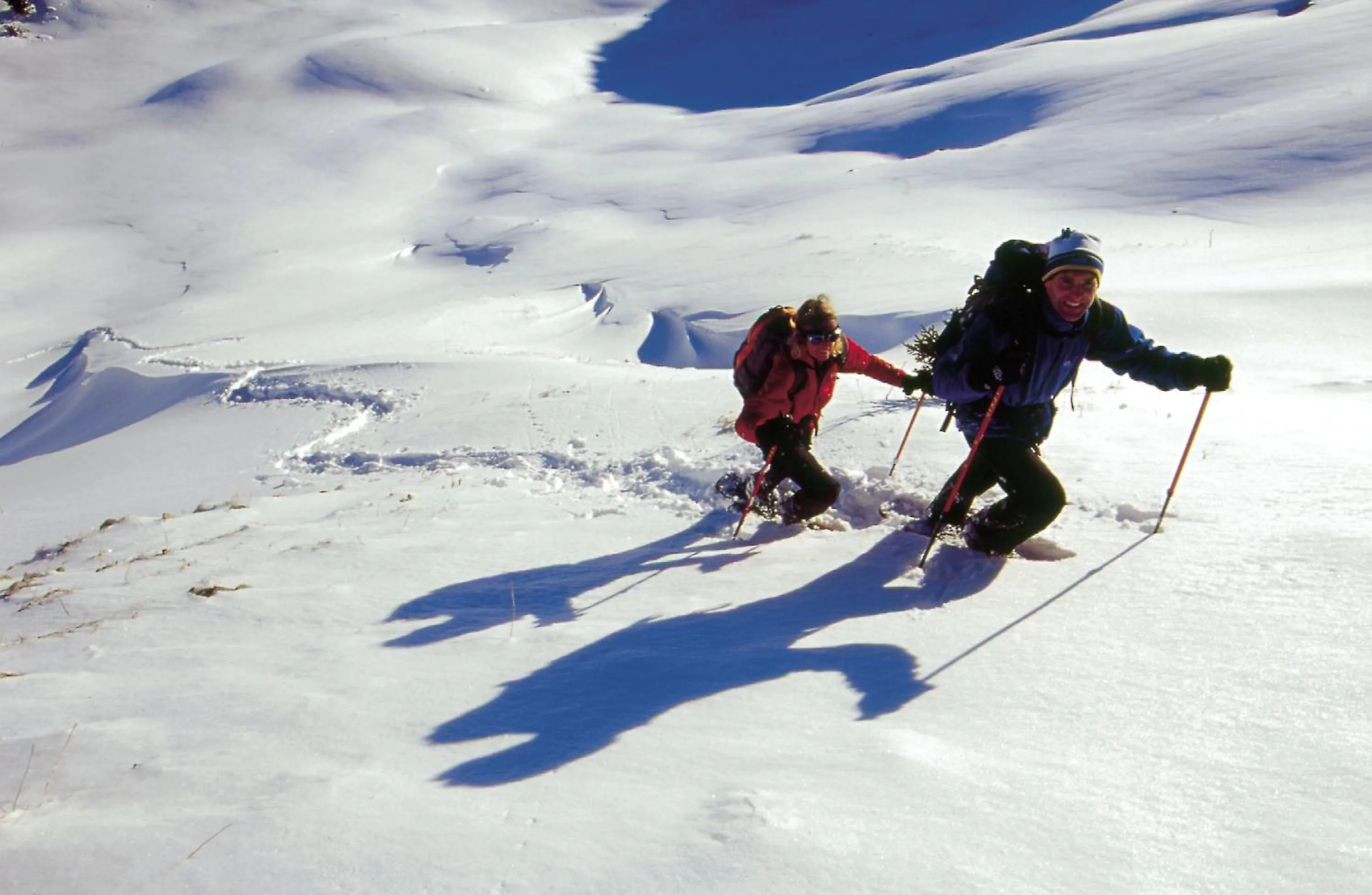 Day in Die Lilie / Hotel Garni