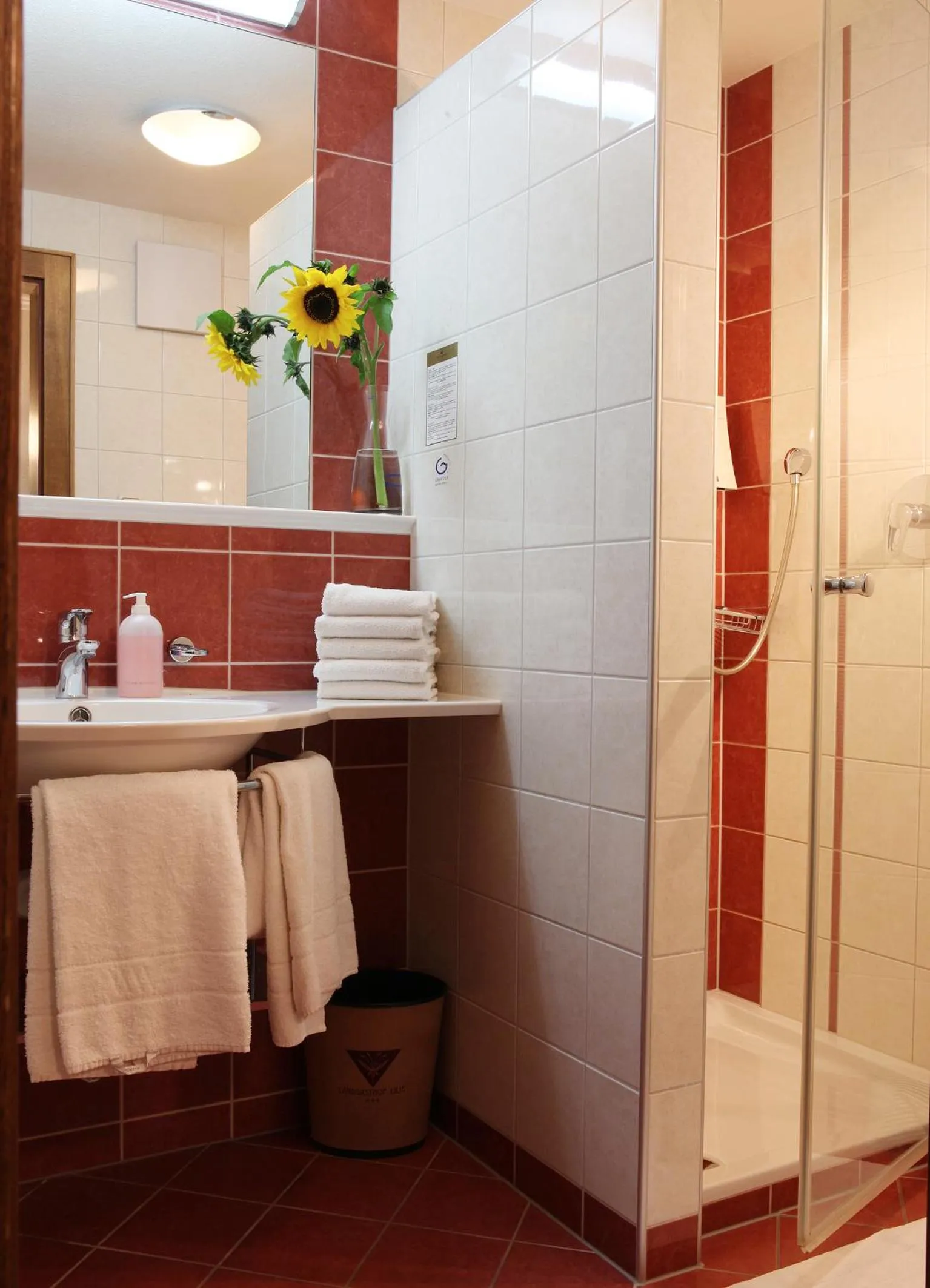 Shower in Die Lilie / Hotel Garni