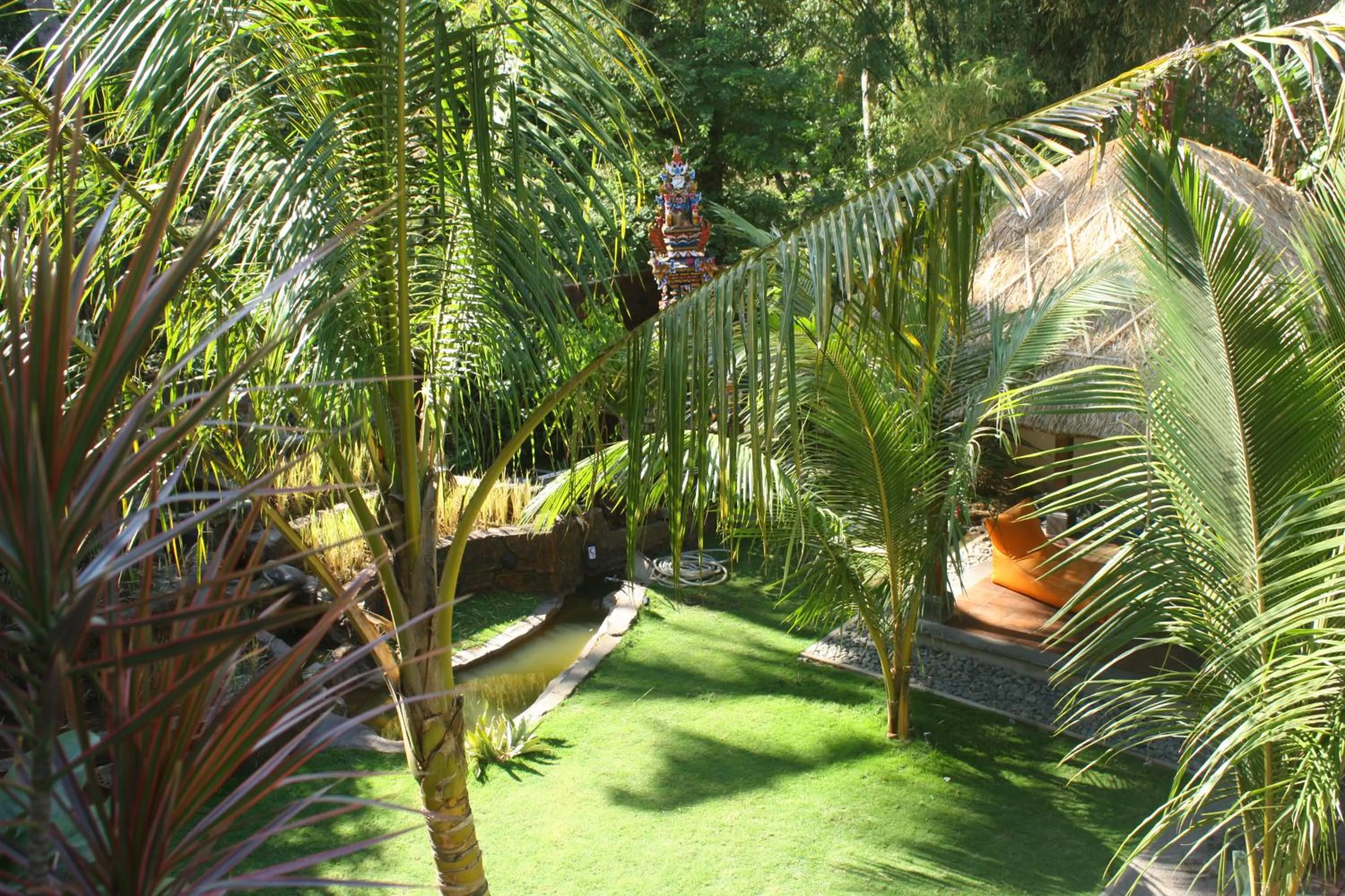Garden in Arjuna Homestay