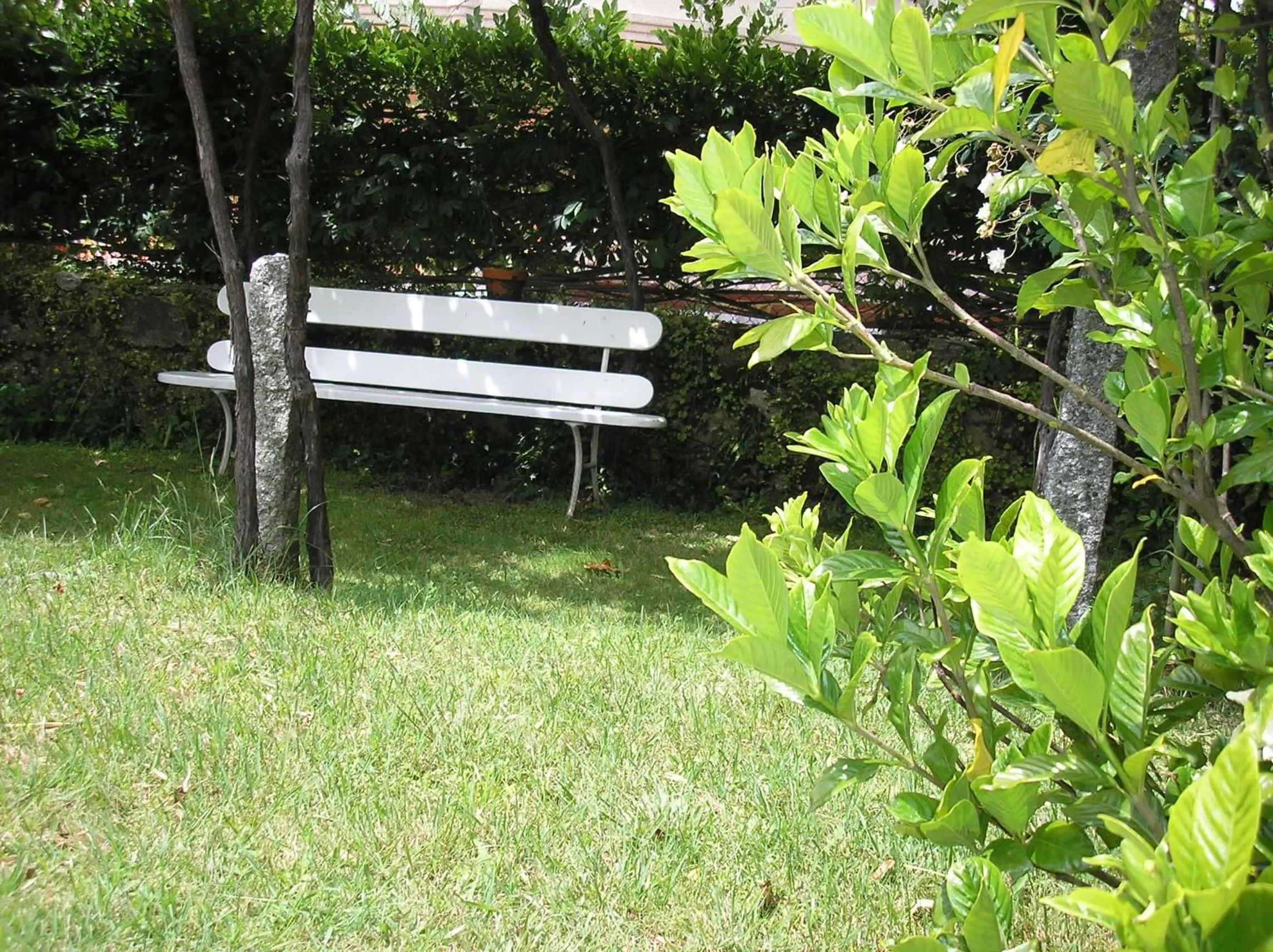 Garden in Balneario Hotel Dávila