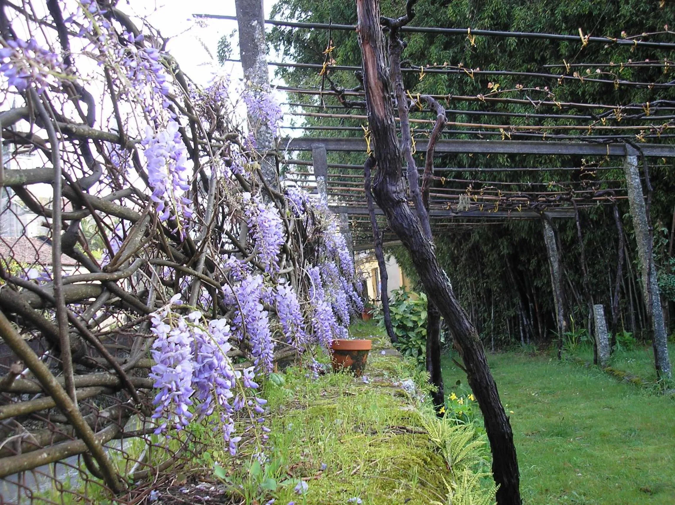 Balneario Hotel Dávila