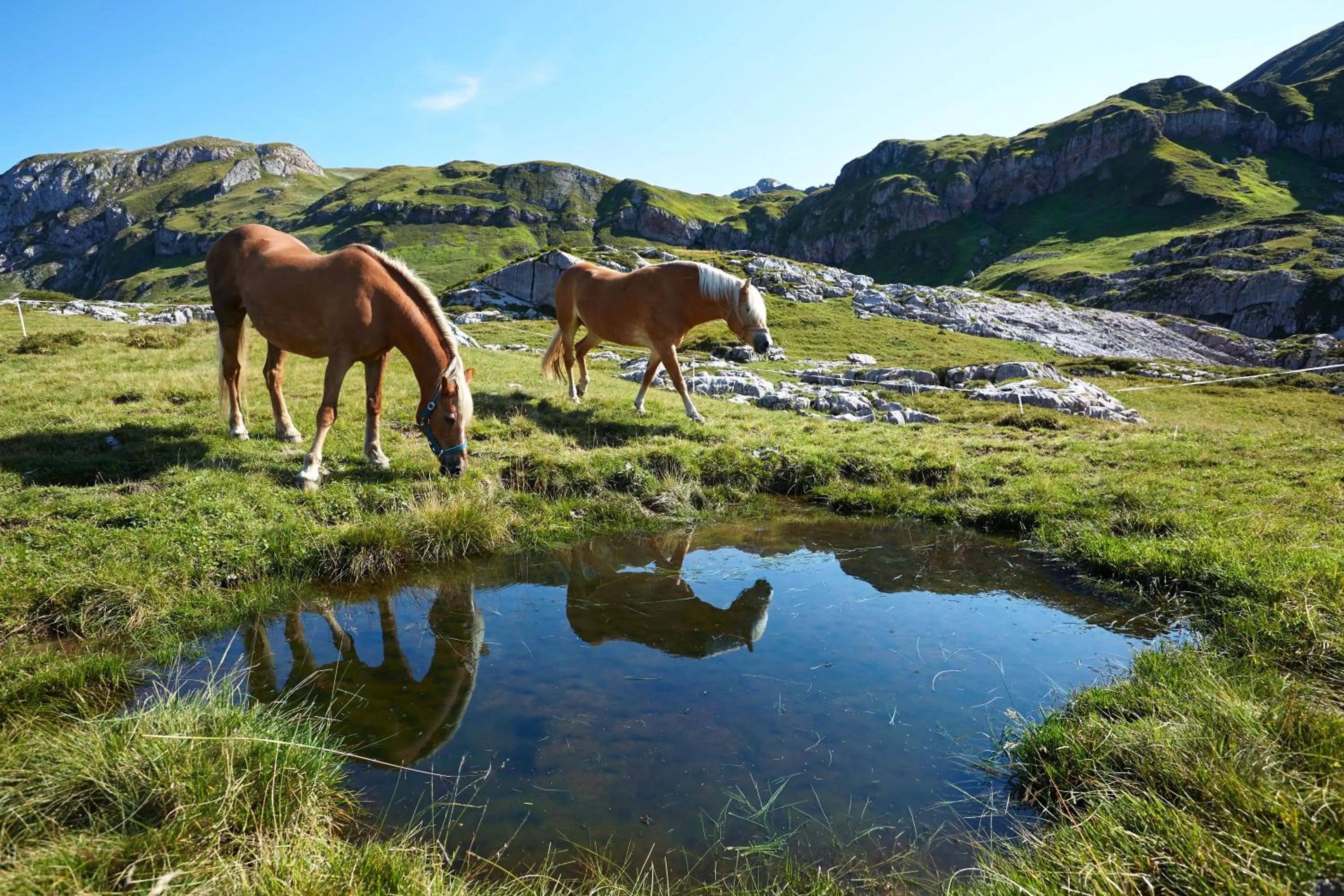 Summer in Post Lech Arlberg