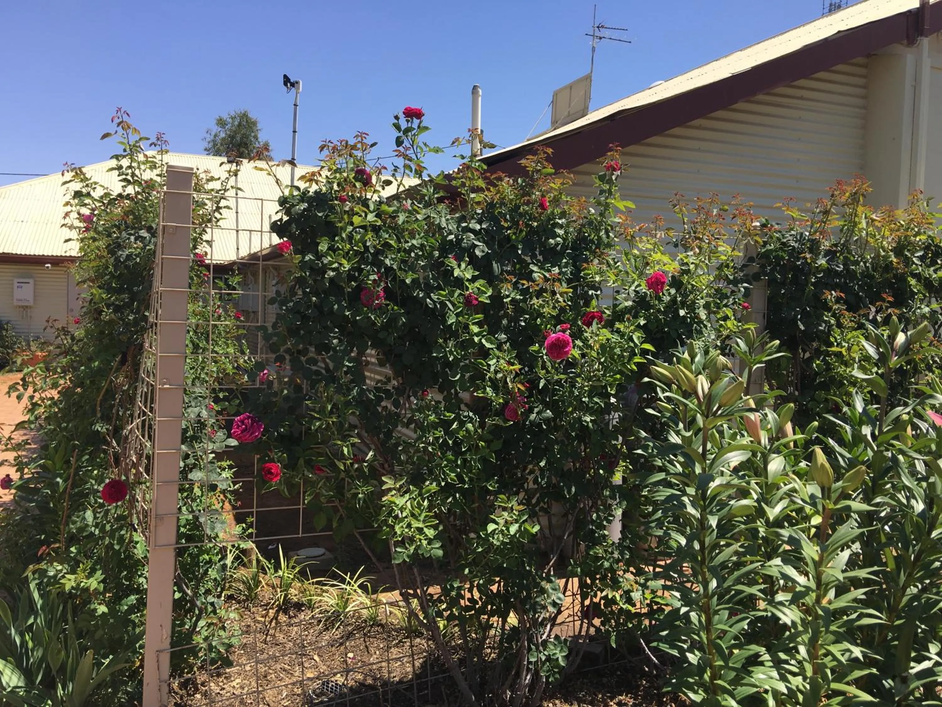 Property building in Club Boutique Hotel Cunnamulla