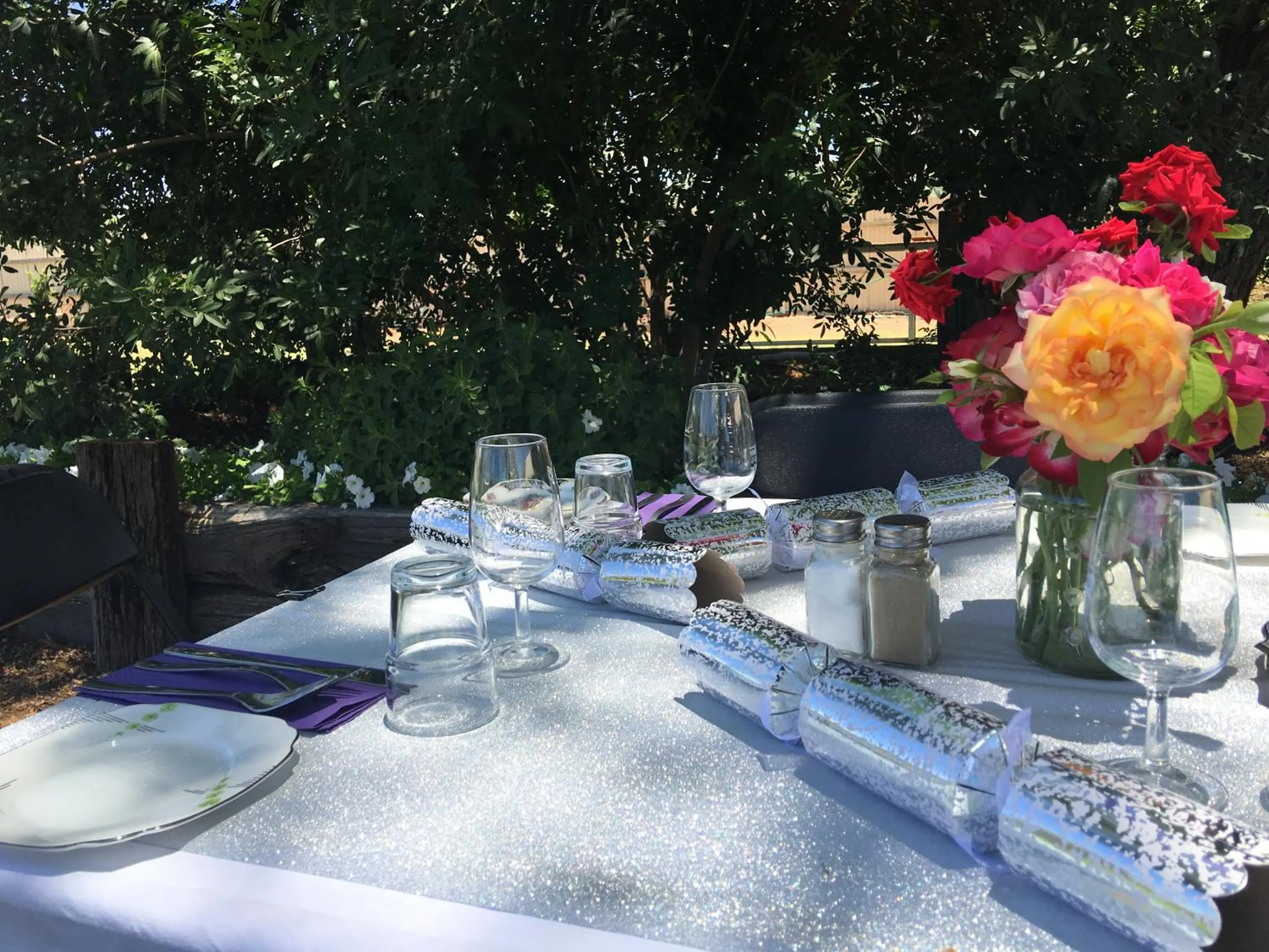 Garden in Club Boutique Hotel Cunnamulla