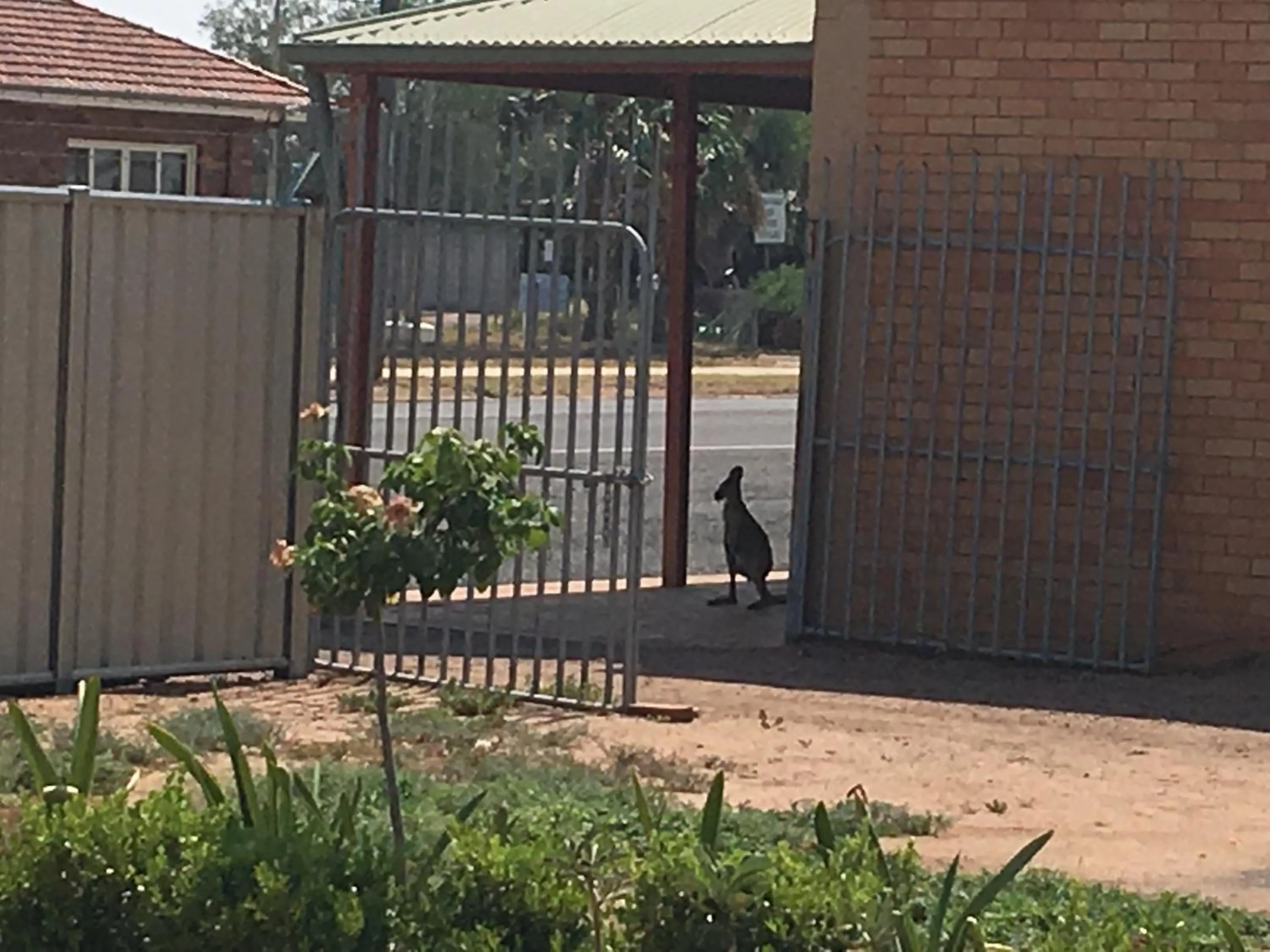 Facade/entrance in Club Boutique Hotel Cunnamulla
