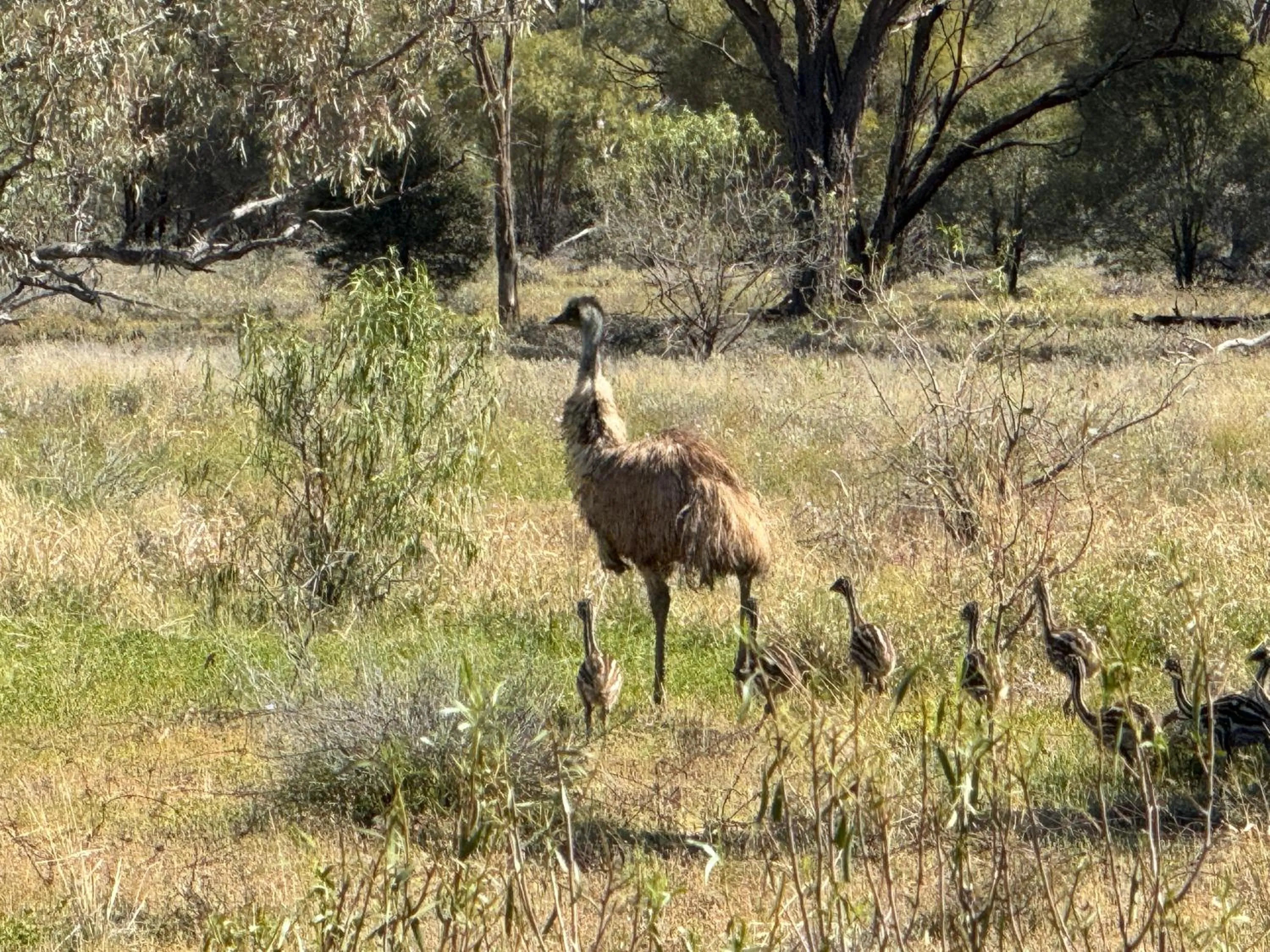 Off site in Club Boutique Hotel Cunnamulla