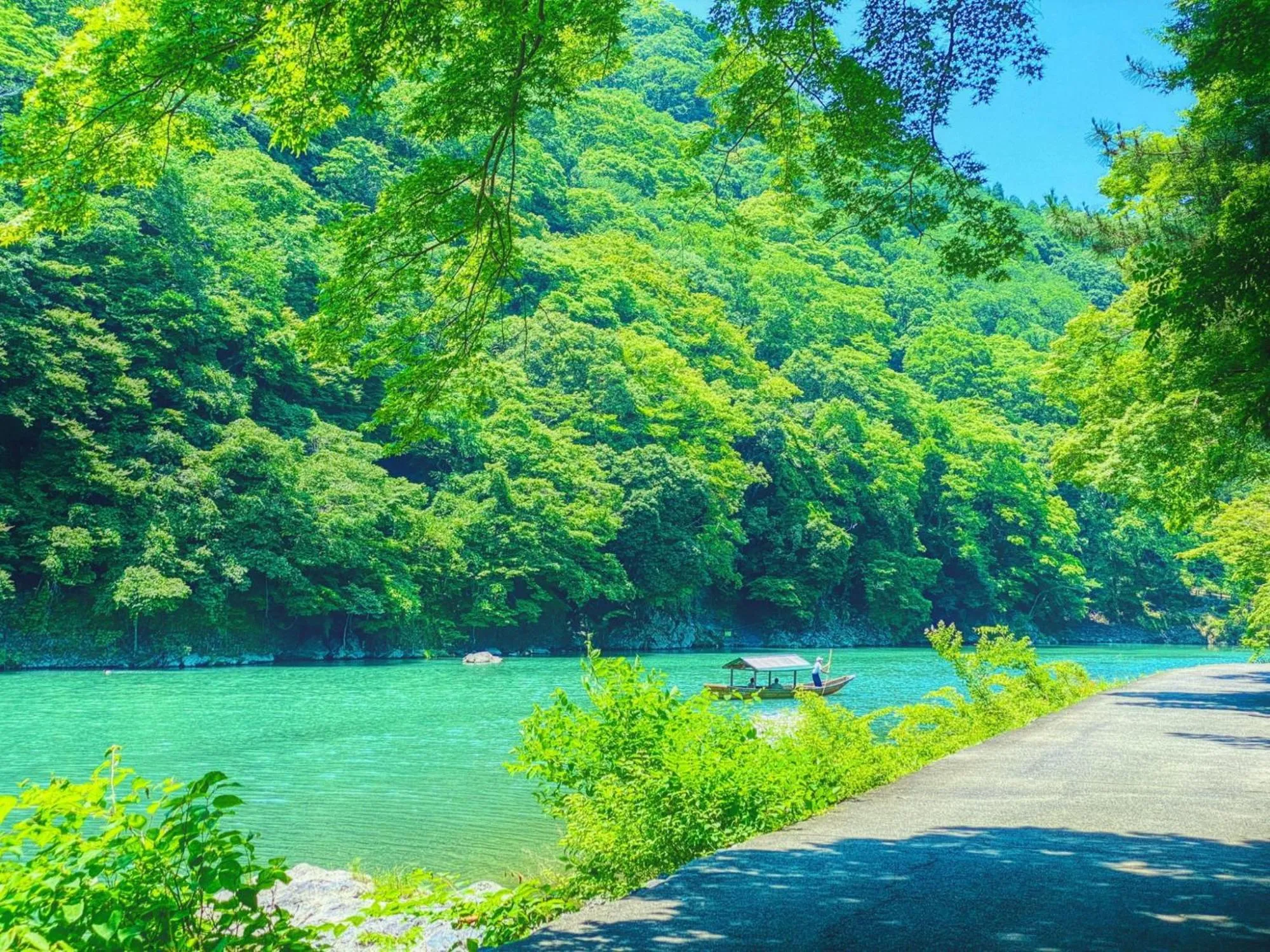 Other in Sun Members Kyoto Saga