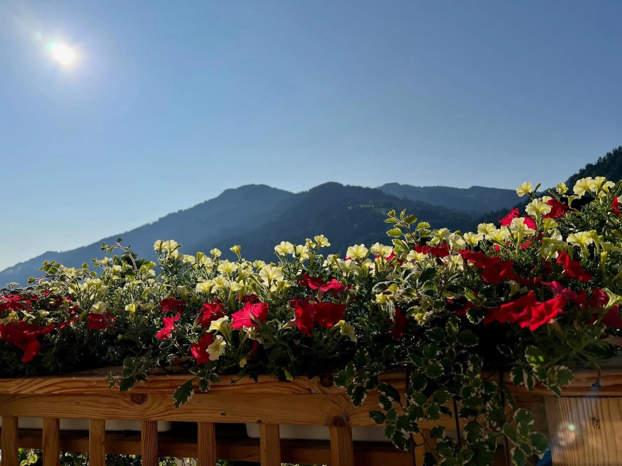 Spring in Residenz Theresa